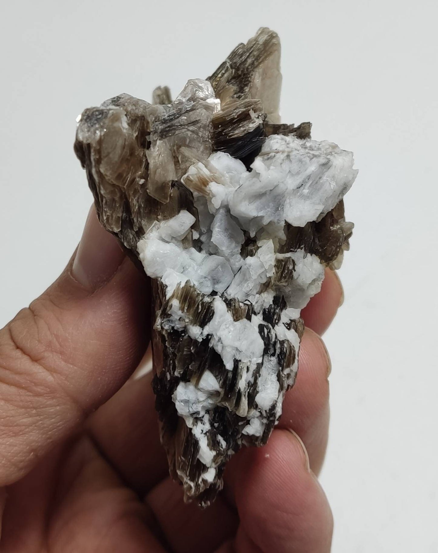 spessartine garnet embedded in muscovite with albite 152 grams