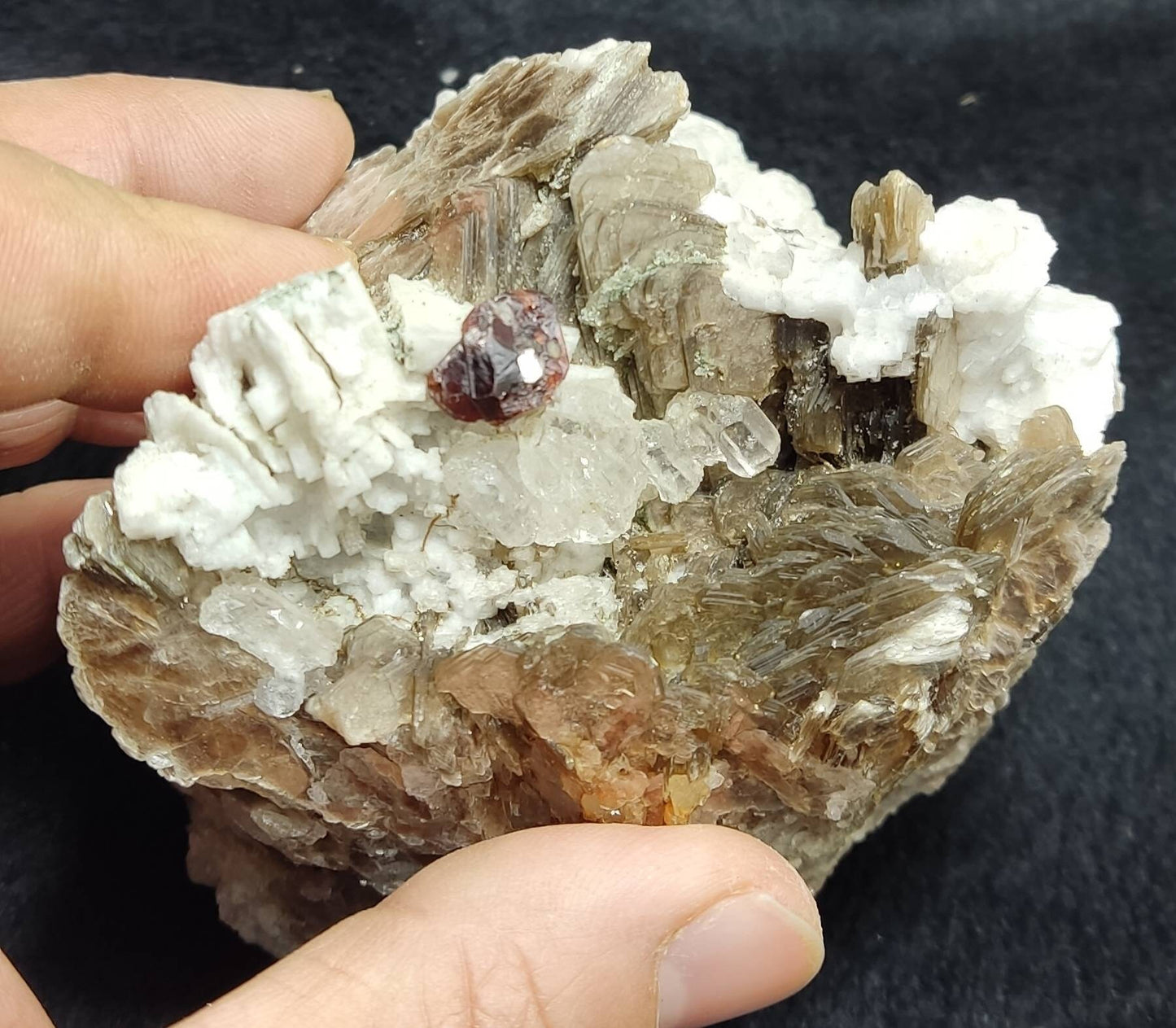 An amazing aesthetic specimen of spessartine garnet embedded in muscovite, with albite and quartz 544 grams