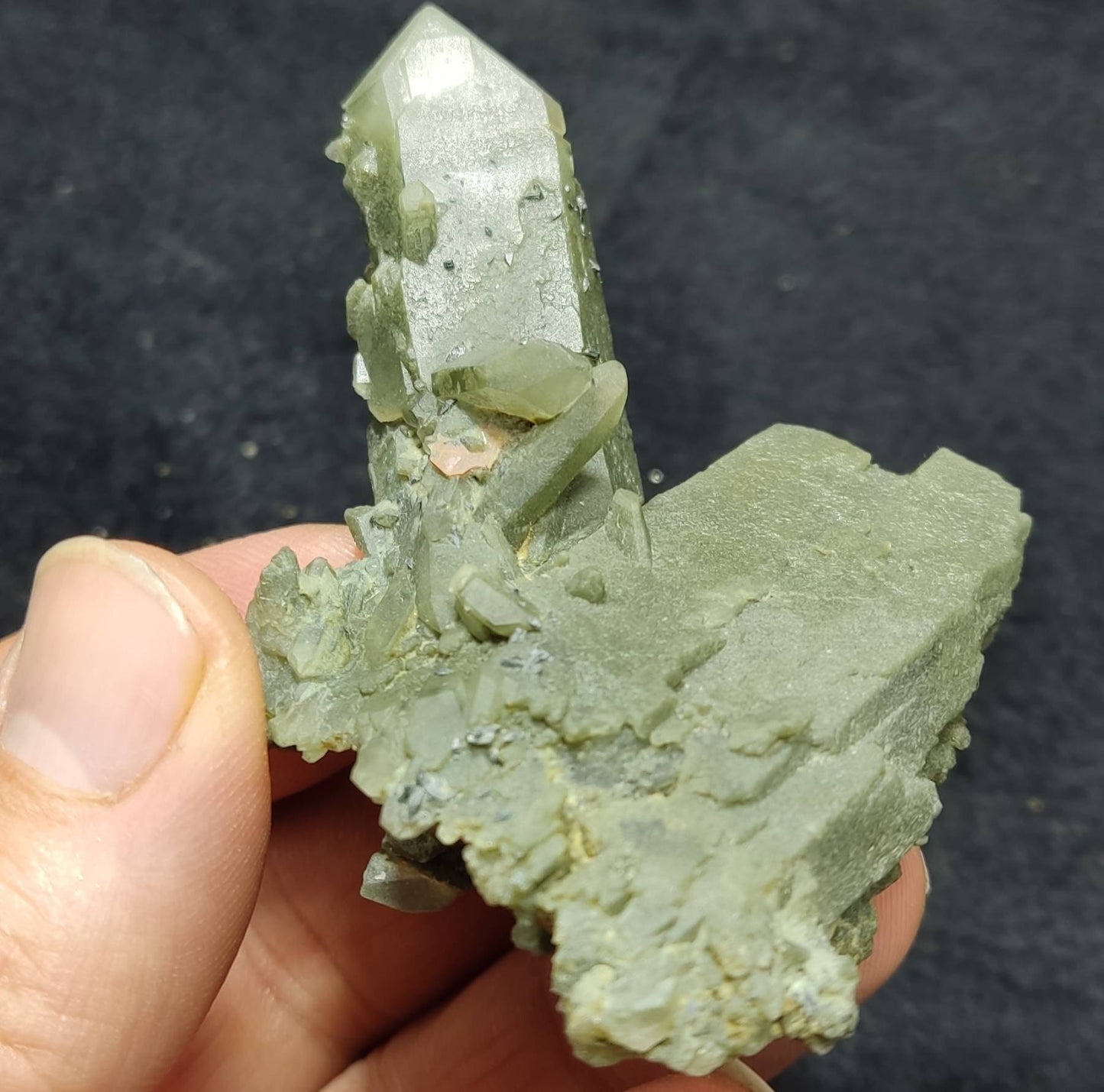 Small anatase crystals on Chlorite Quartz with small brookite 63 grams