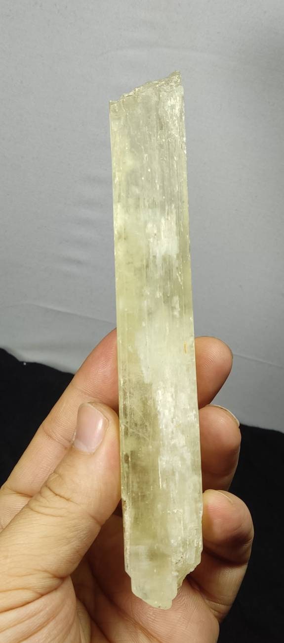 An amazing specimen of long spodumene crystal 217 grams