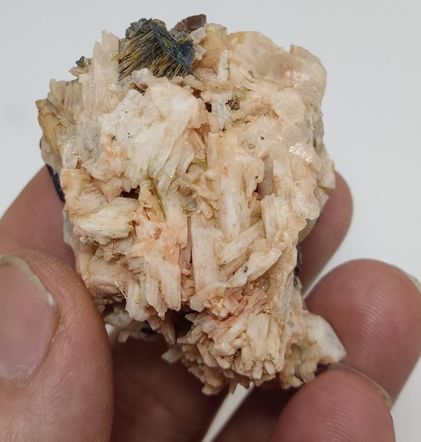 Single beautiful Garnet variety andradite with albite and epidote specimen 69 grams