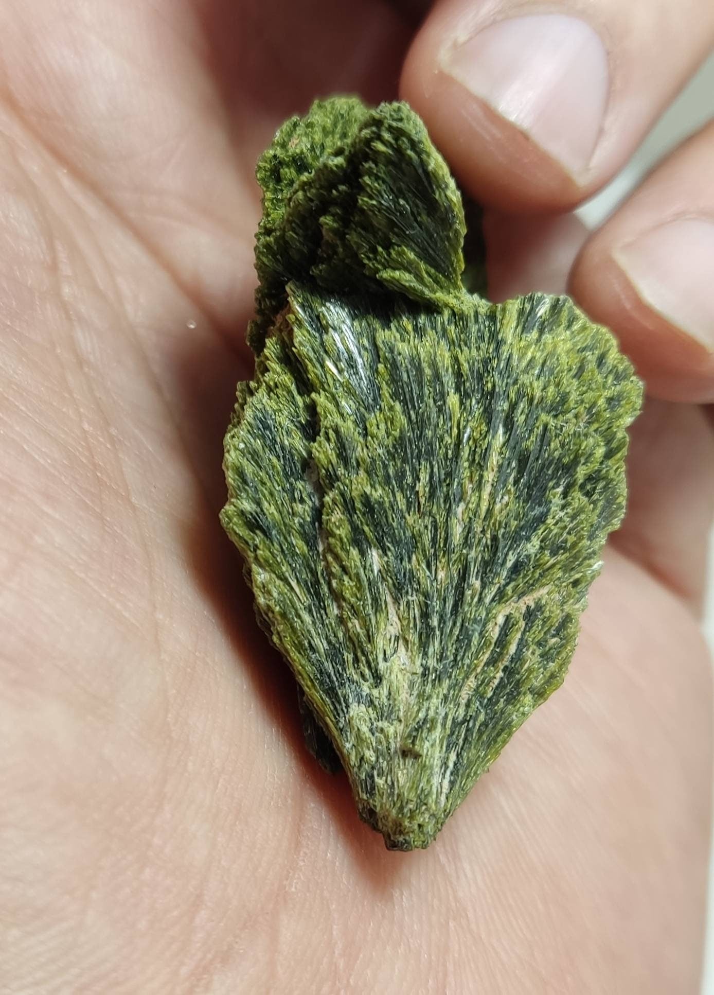 Crystal specimen of Epidote 33 grams