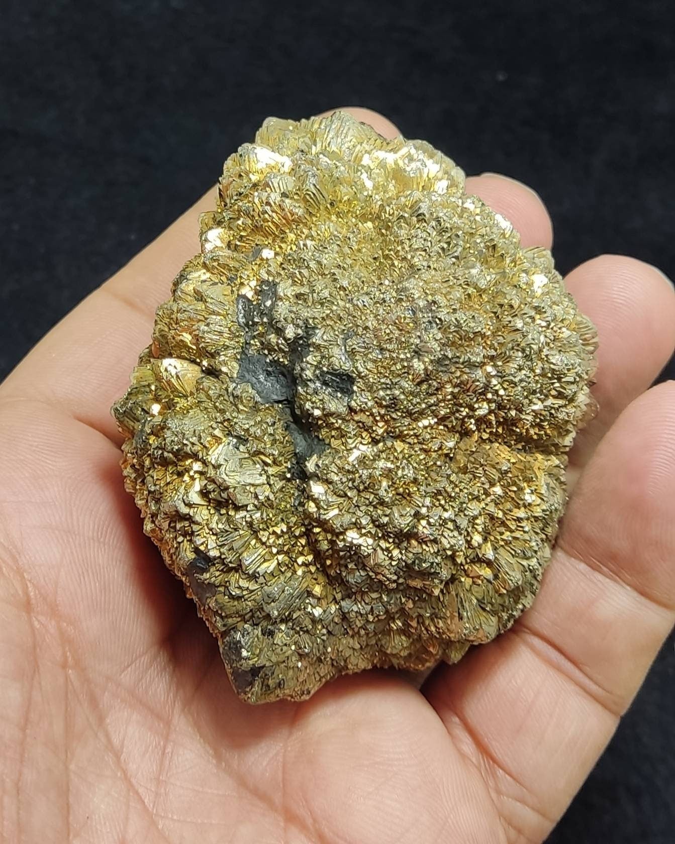 Pyrite/marcasite on co'al 430 grams