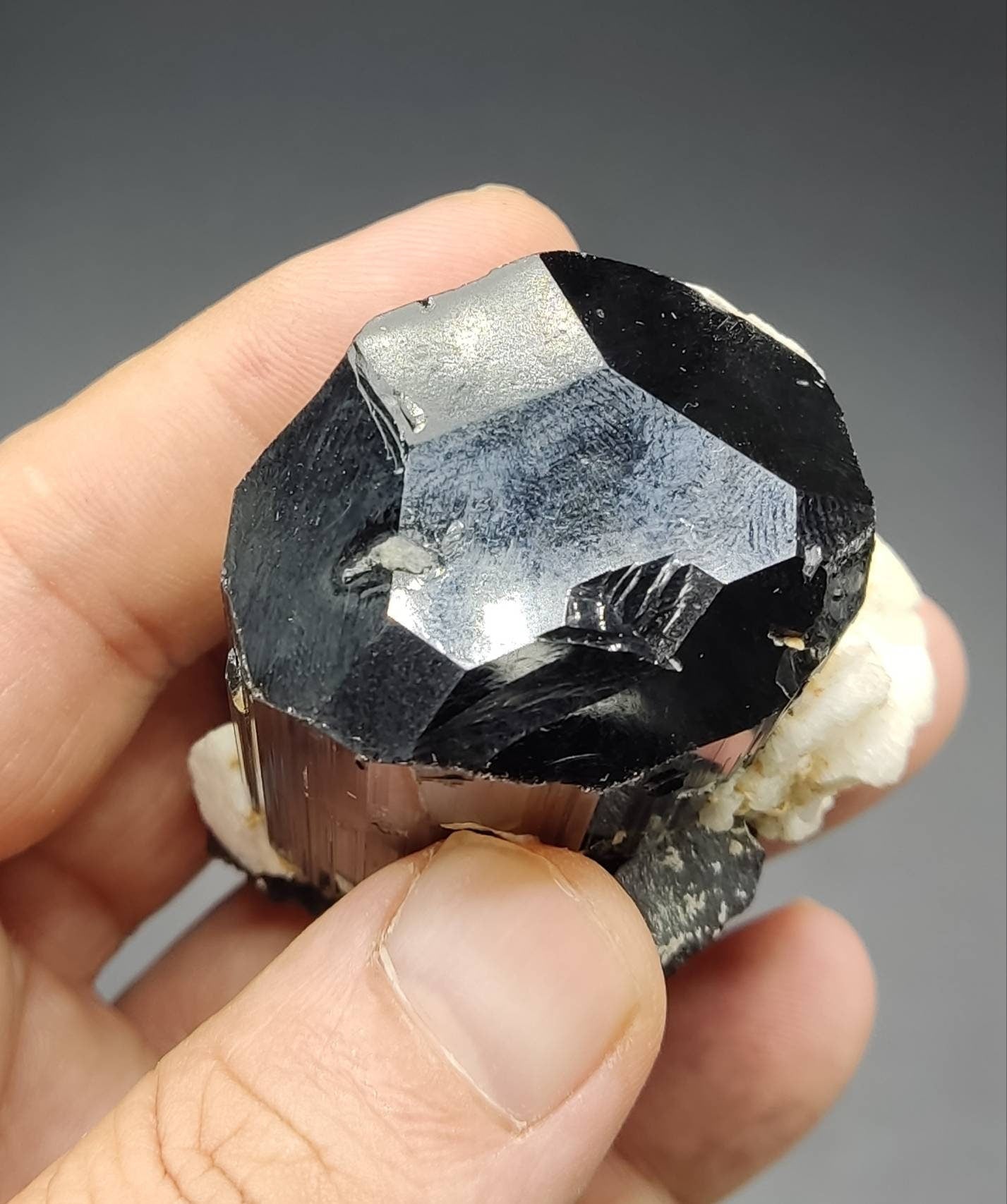 Tourmaline crystal with Albite 166 grams