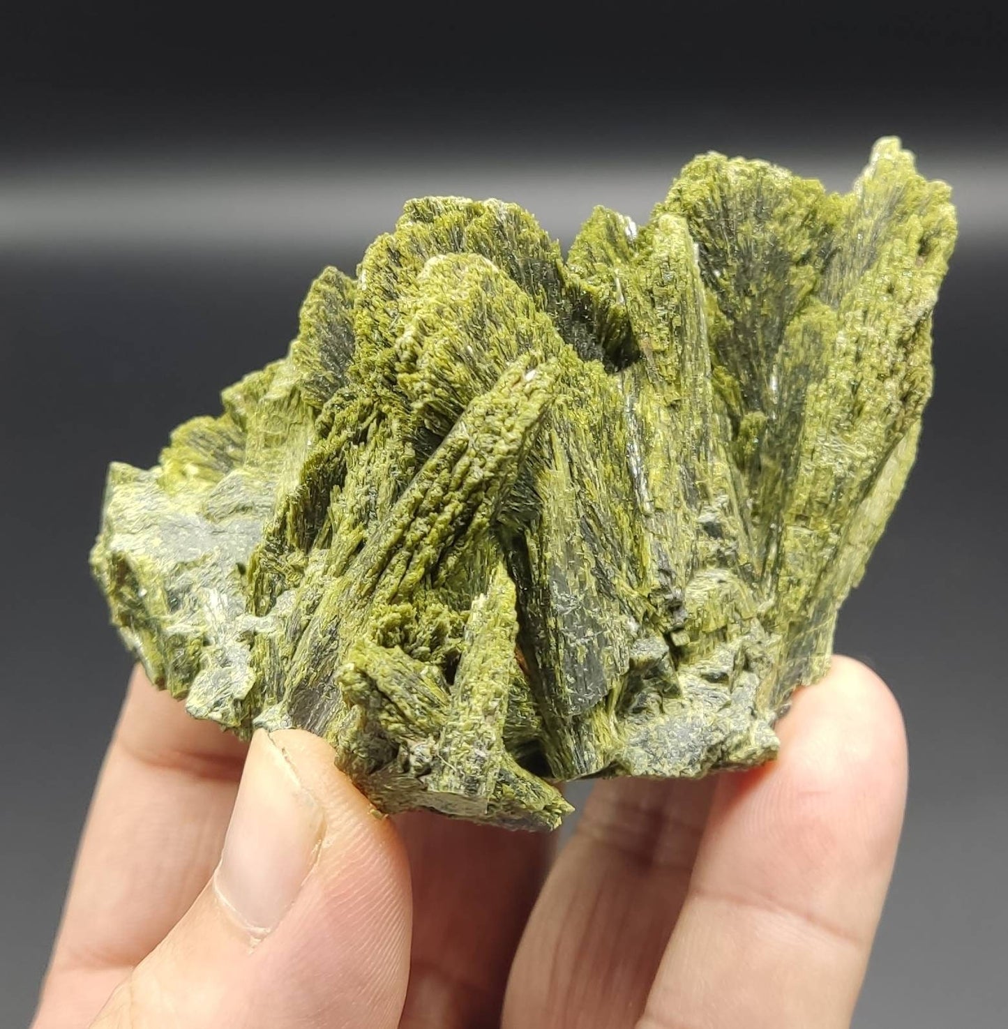 An Amazing specimen of lusterous Epidote cluster 215 grams