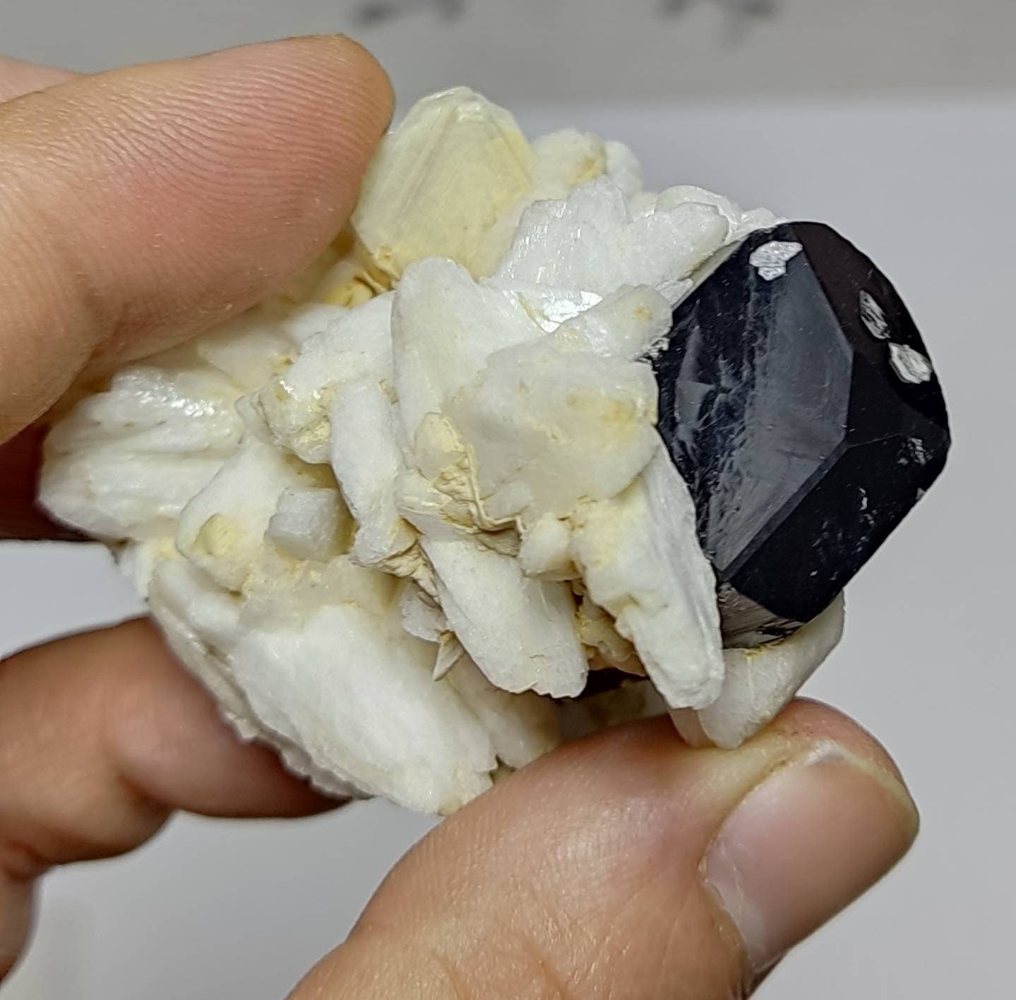 An Aesthetic specimen of Natural Tourmaline crystal with Albite and some muscovite 126 grams