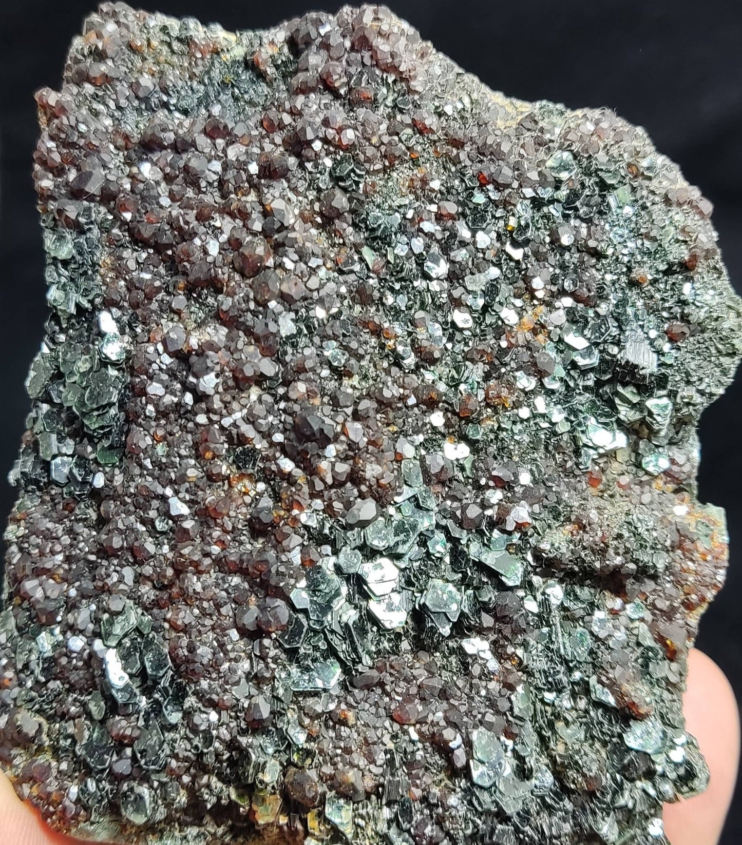 Spessartine Garnet clusters with Mica on matrix 559 grams