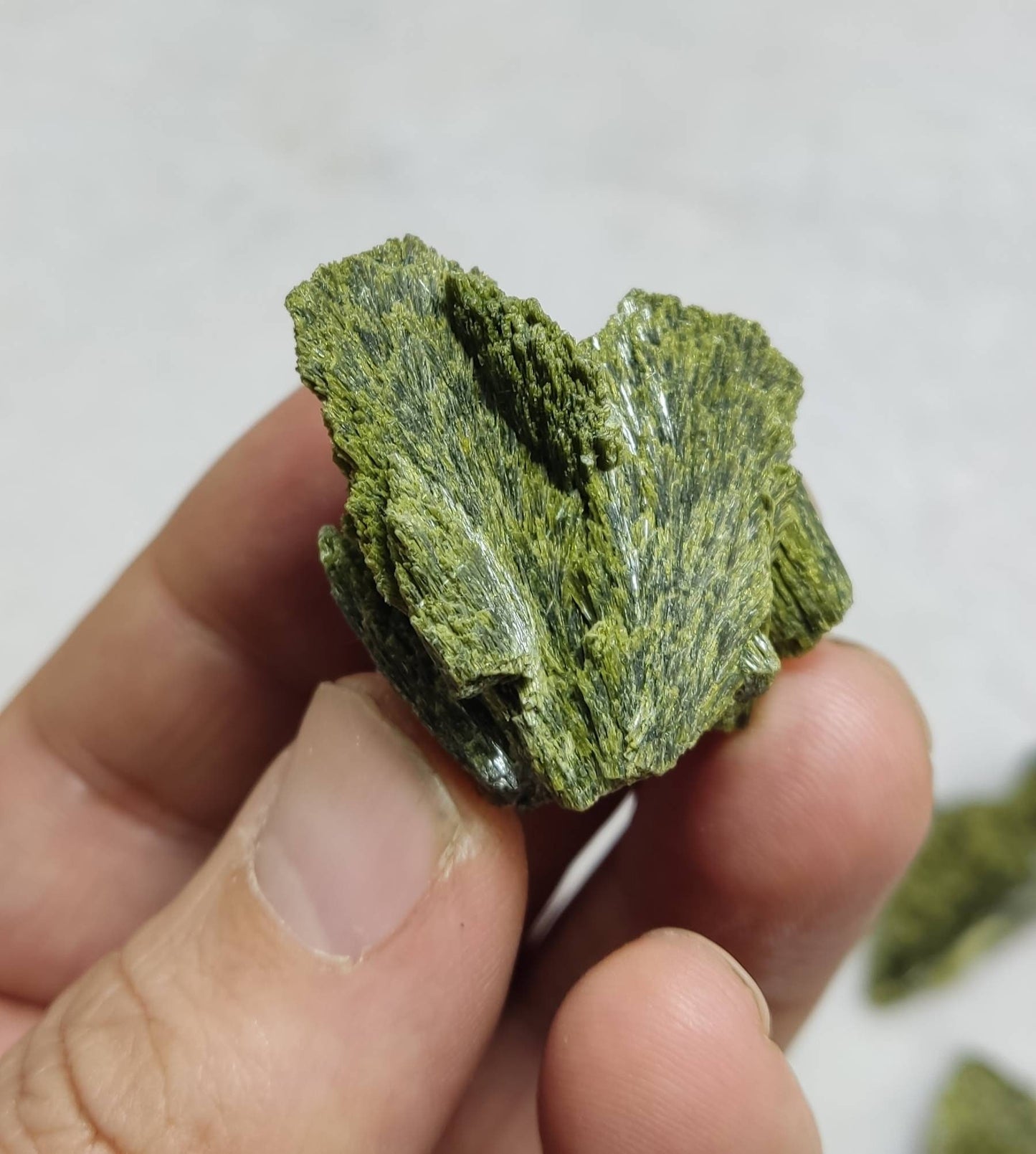 Epidotes crystals lot 6 pieces