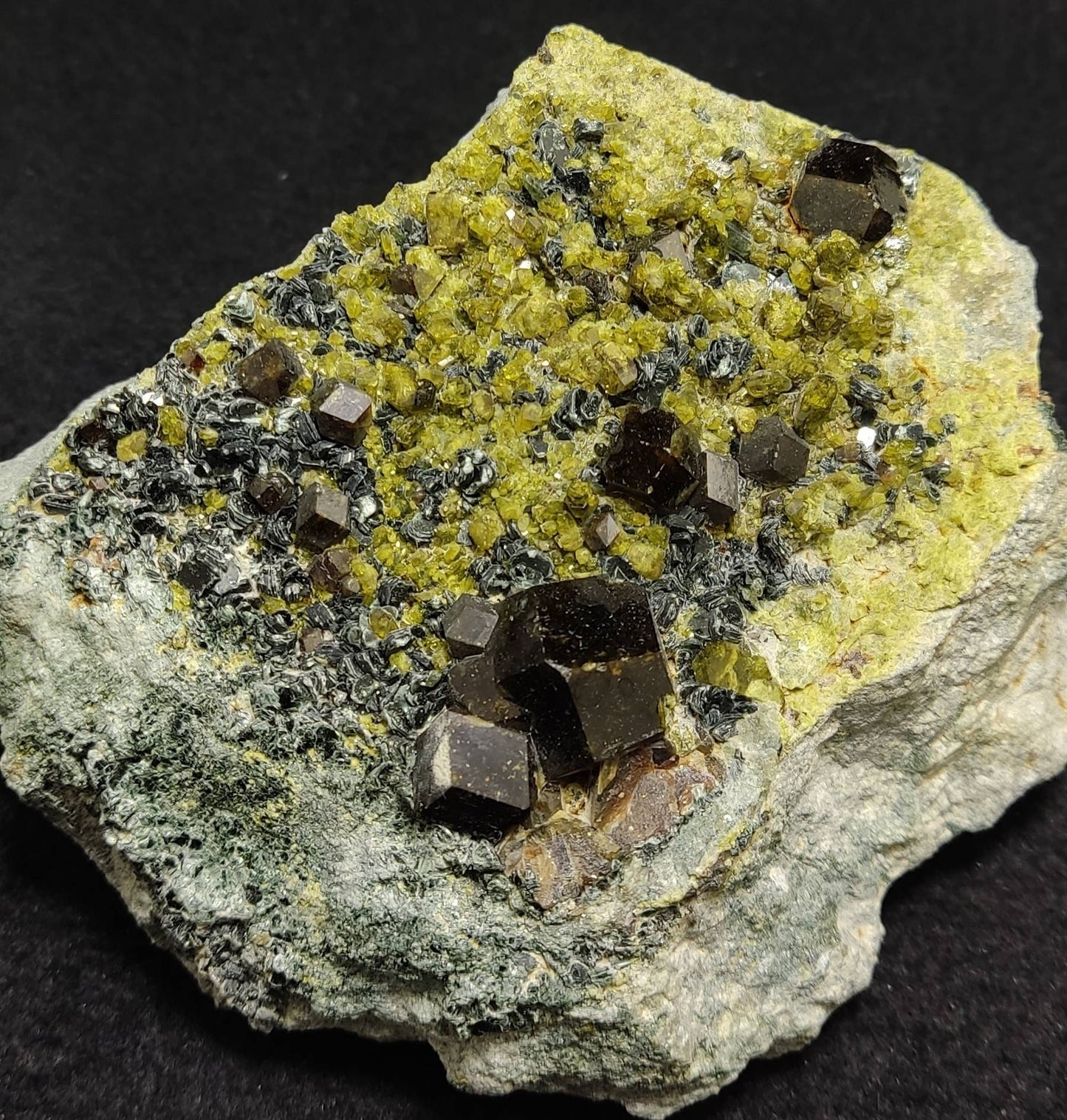 An aesthetic specimen of andradite garnets on matrix with clinochlore and epidote 750 grams