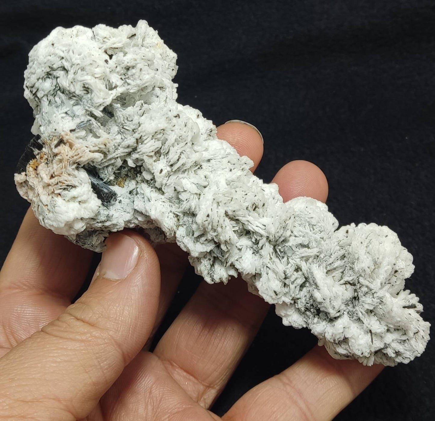 Black tourmaline crystals with albite 194 grams