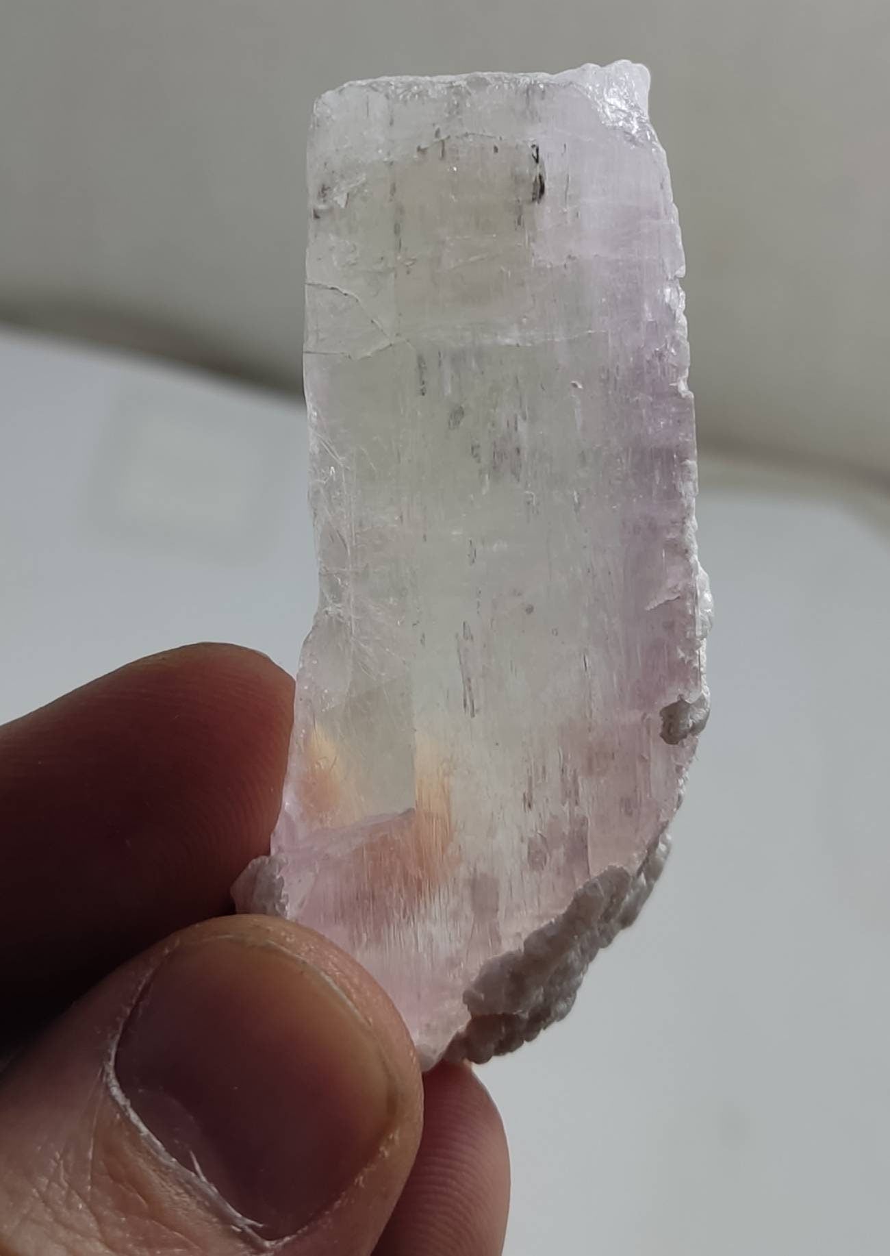 Terminated bicolor crystal of specimen spodumene 66 grams