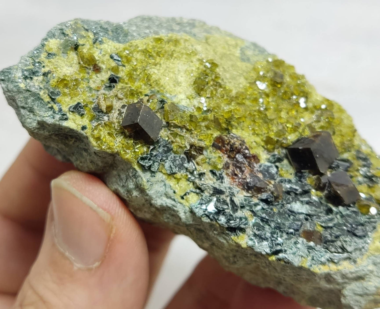 Andradite garnets on matrix with clinochlore and epidote 204 grams