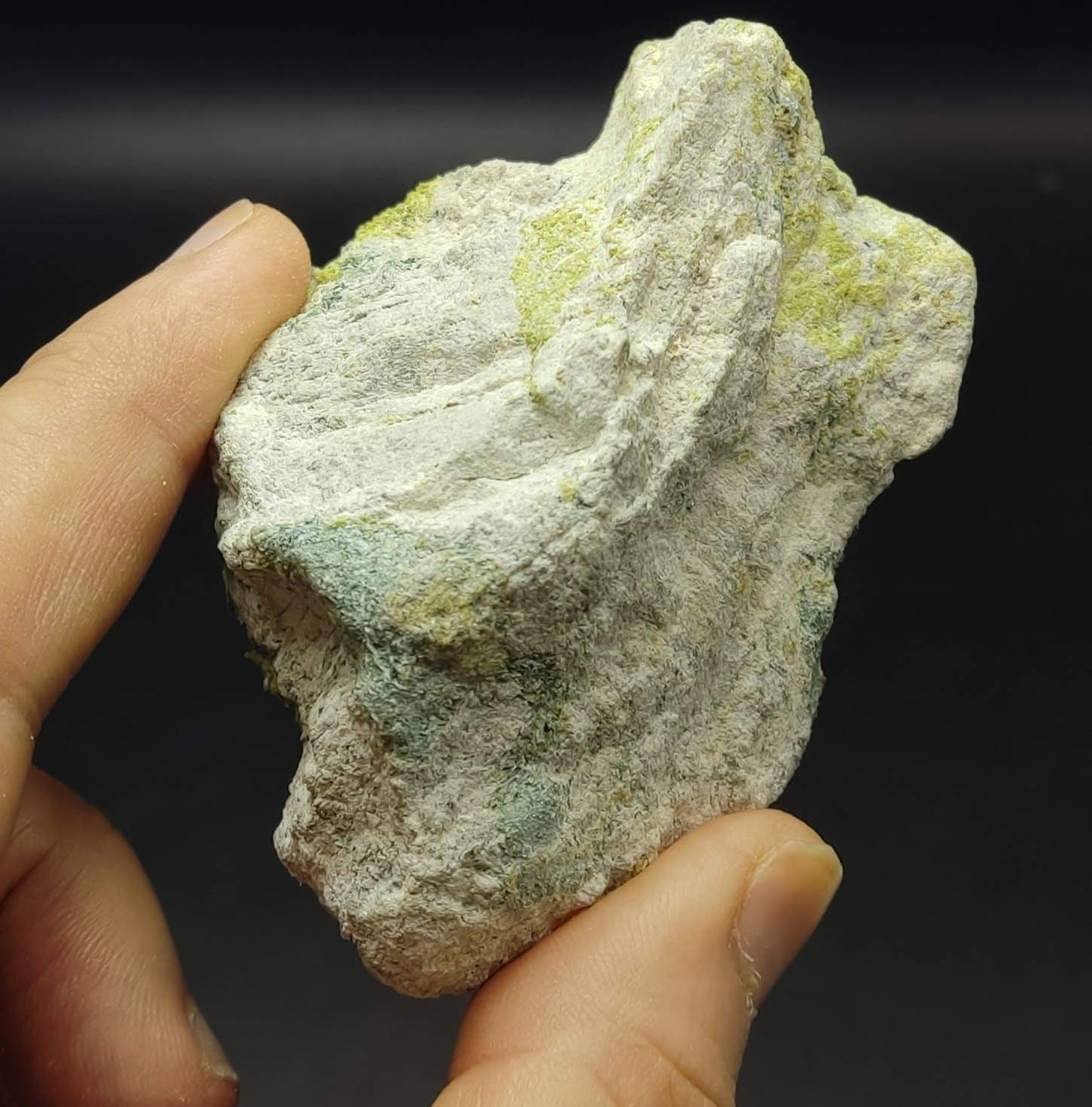 Andradite garnets on matrix with epidote and diopside 188 grams an aesthetic specimen