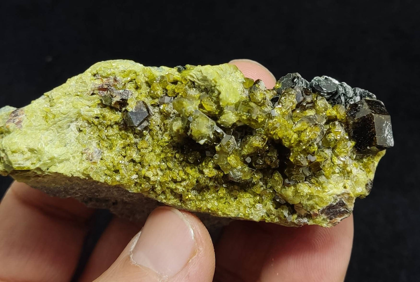 Andradite garnets on matrix with clinochlore and epidote an aesthetic specimen 135 grams