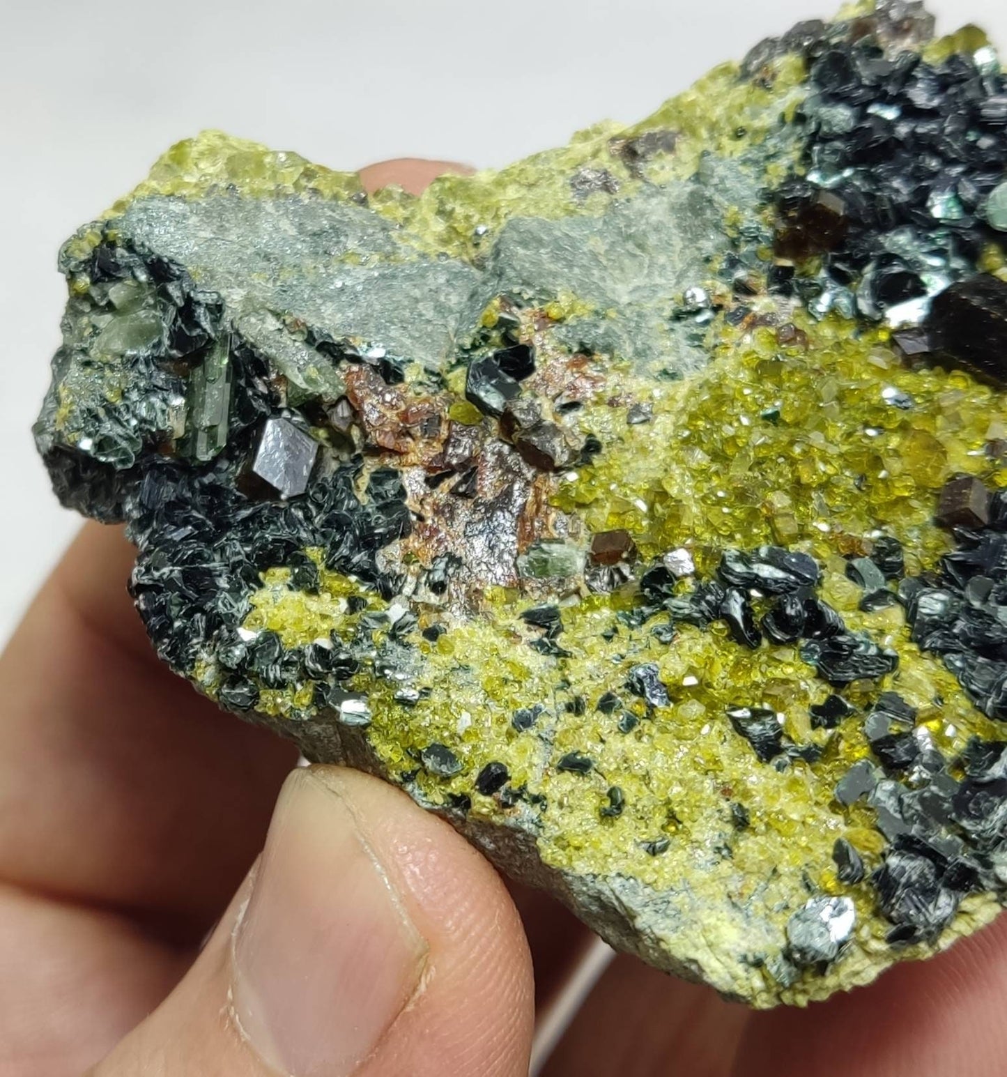 Andradite garnets on matrix with clinochlore and epidote 123 grams