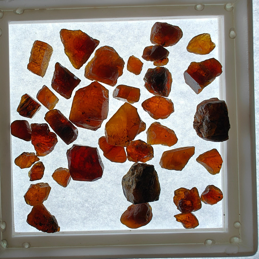 Rare Crystals Every Collector Should Know About | Expert Guide 💚