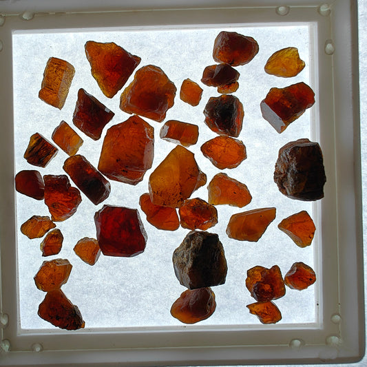 Rare Crystals Every Collector Should Know About | Expert Guide 💚