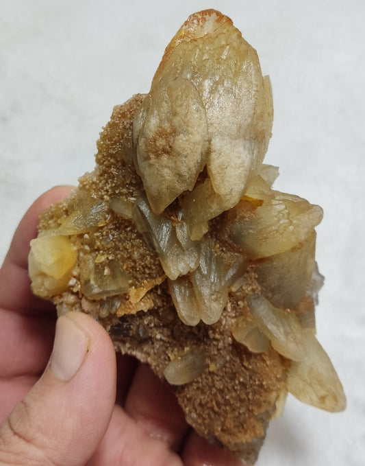 💪💪💪Calcite Energies 🦐🎊