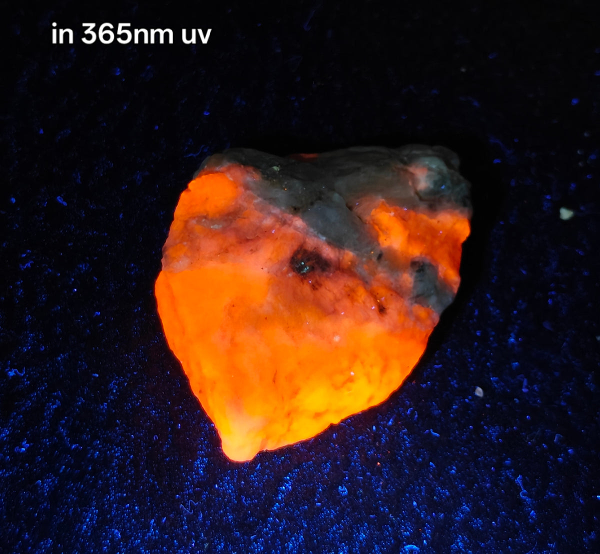 Natural highly Tenebrescent hackmanite 24 grams| Rare Mineral Specimens