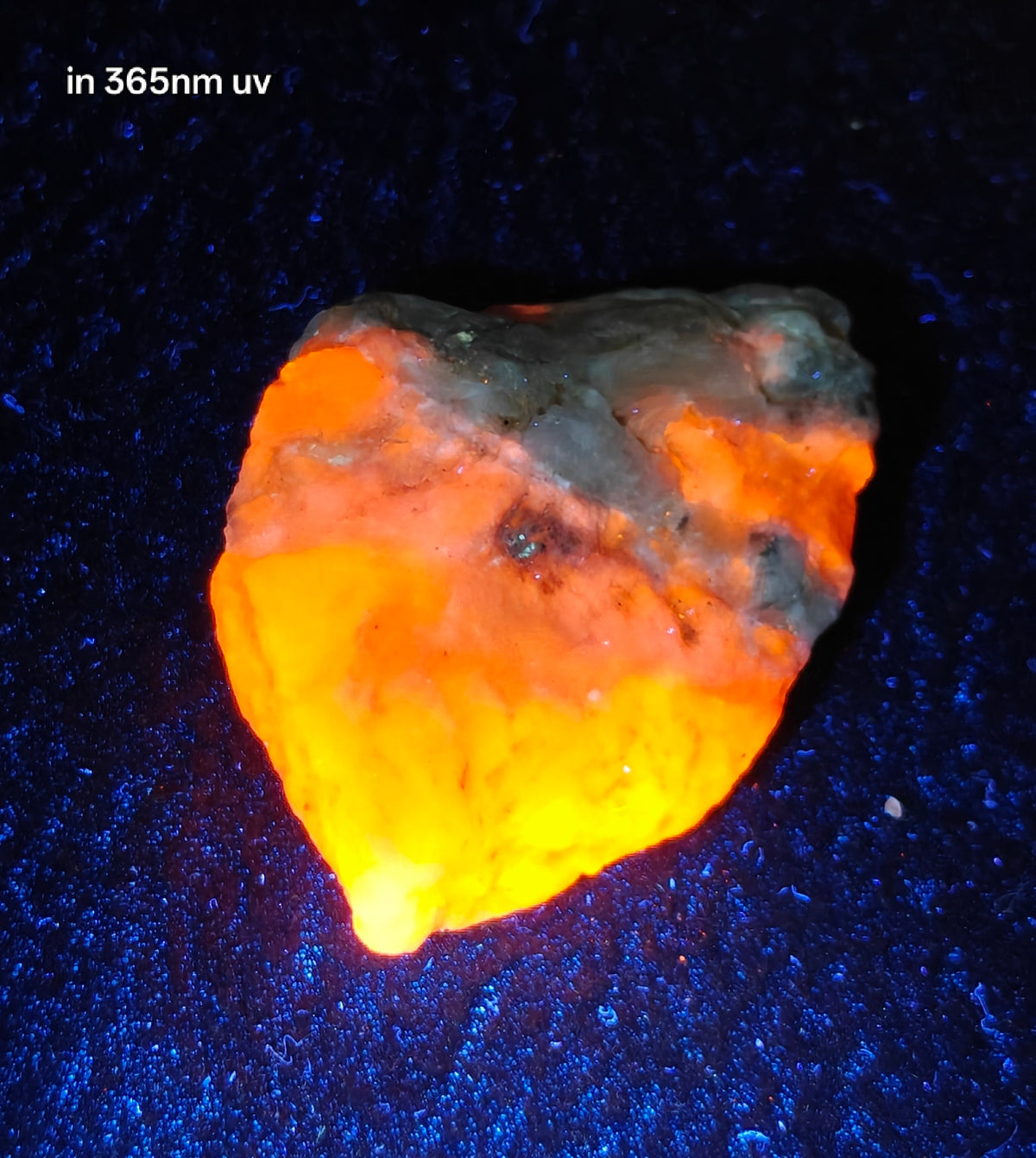 Natural highly Tenebrescent hackmanite 24 grams| Rare Mineral Specimens
