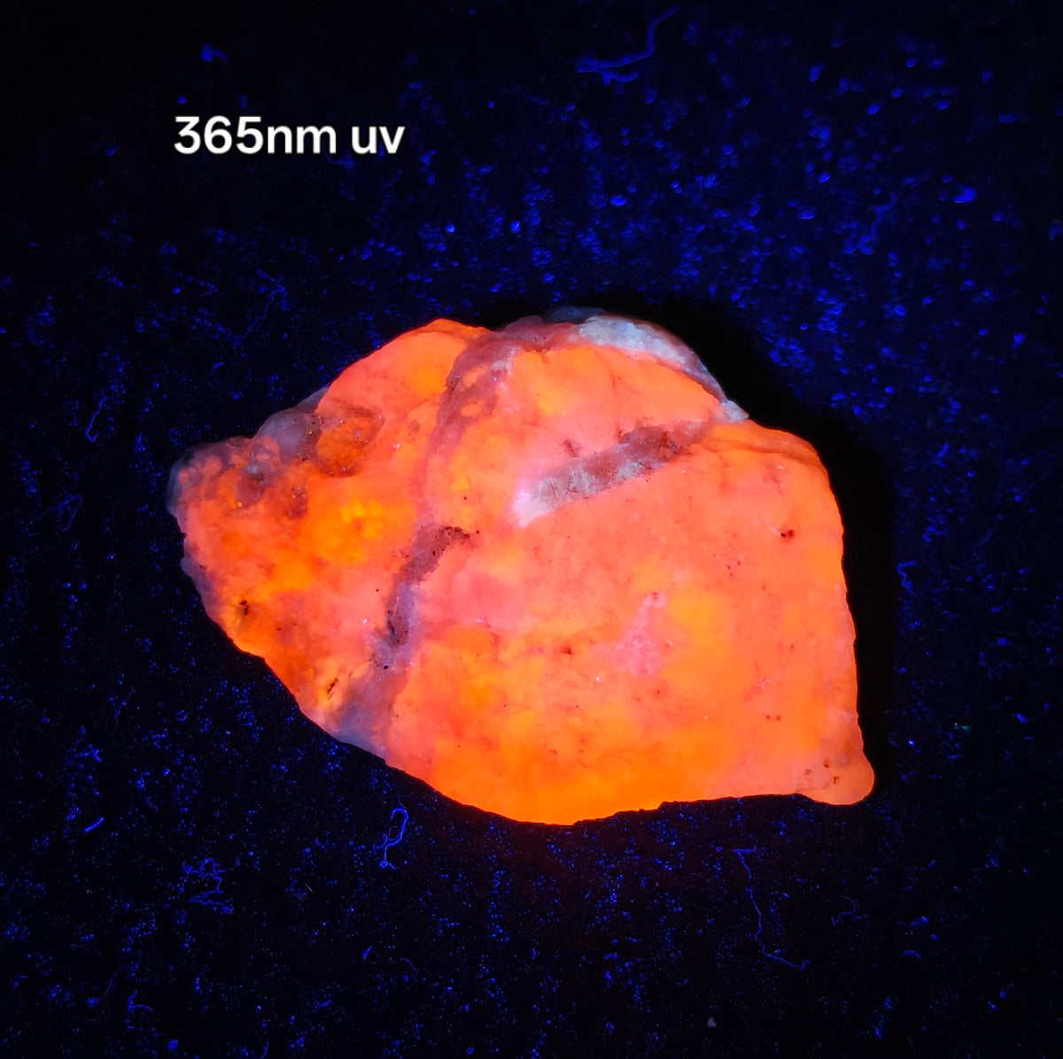 Natural highly Tenebrescent hackmanite 24 grams| Rare Mineral Specimens