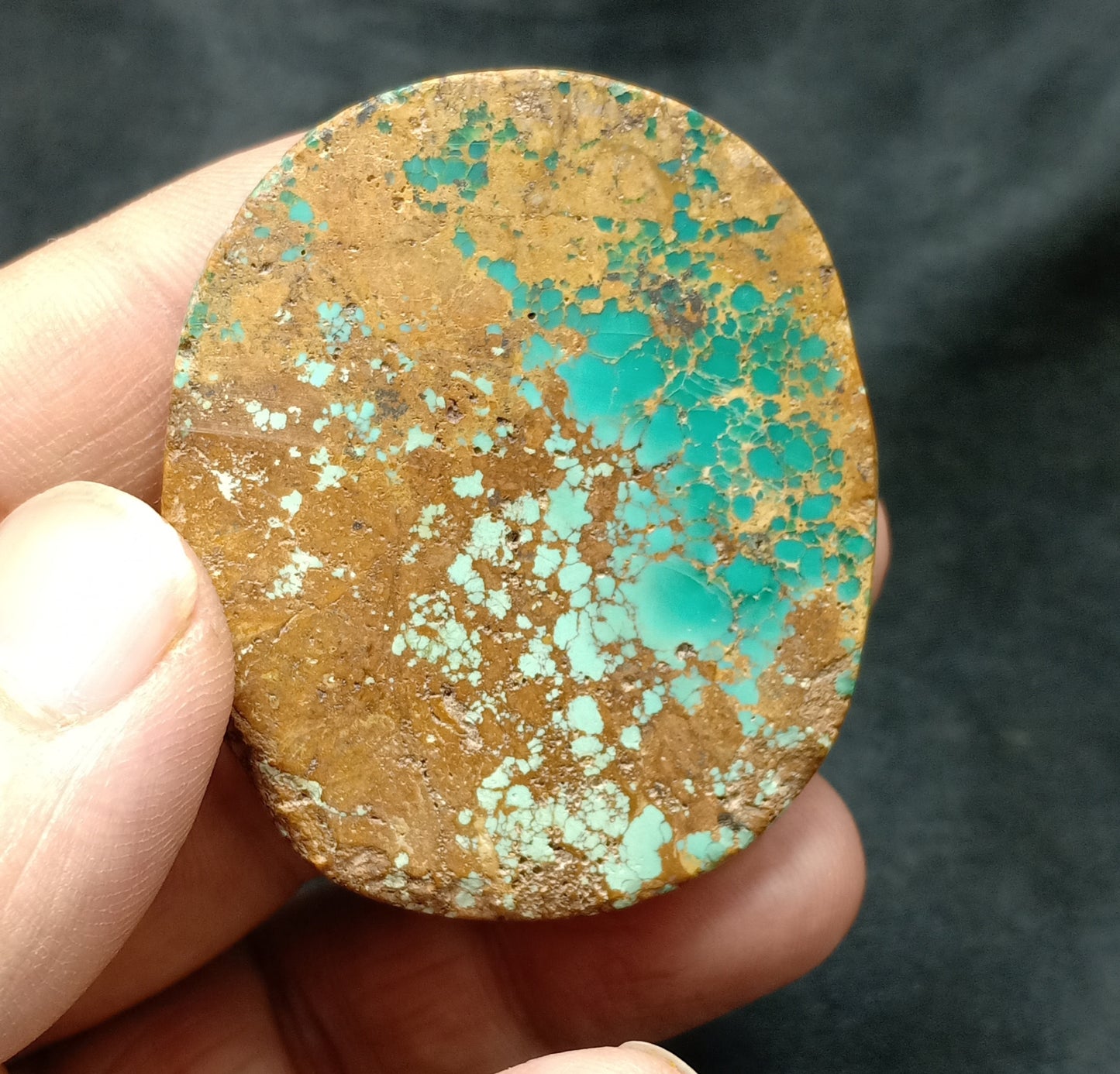 An amazing middle eastern natural turquoise Cabochon in matrix 44 grams