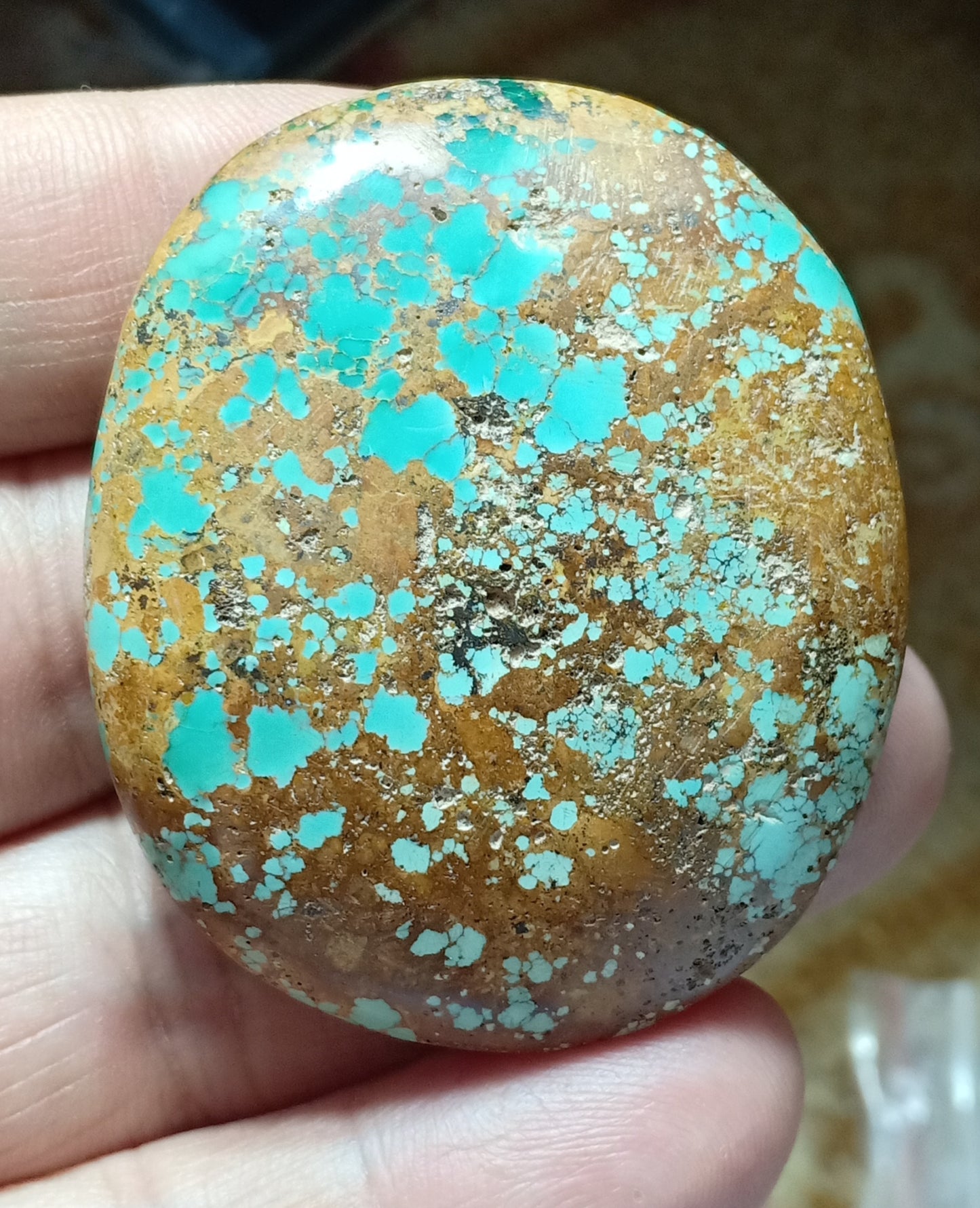 An amazing middle eastern natural turquoise Cabochon in matrix 44 grams