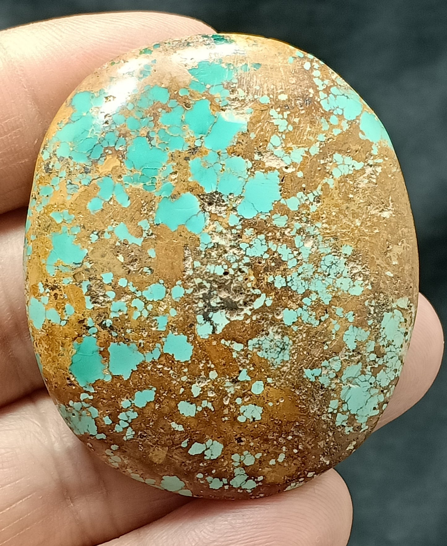 An amazing middle eastern natural turquoise Cabochon in matrix 44 grams