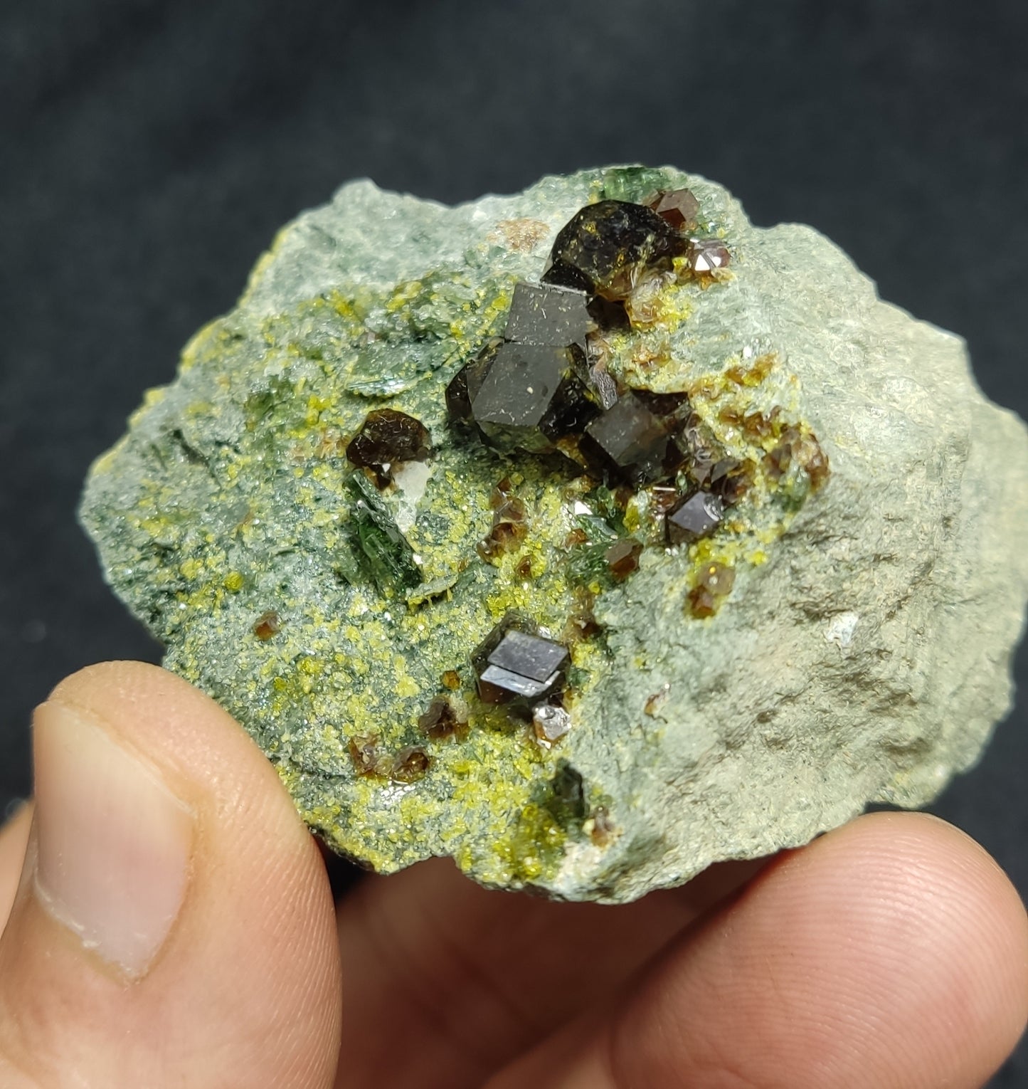 Andradite garnets on matrix with diopside and epidote 128 grams