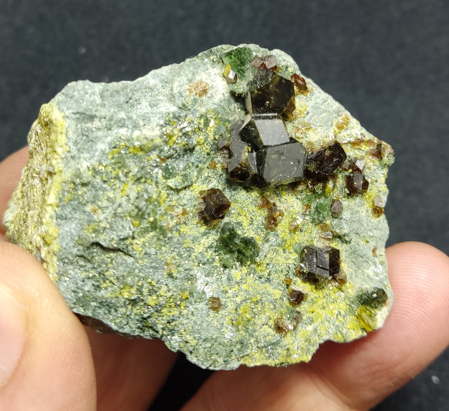 Andradite garnets on matrix with diopside and epidote 128 grams