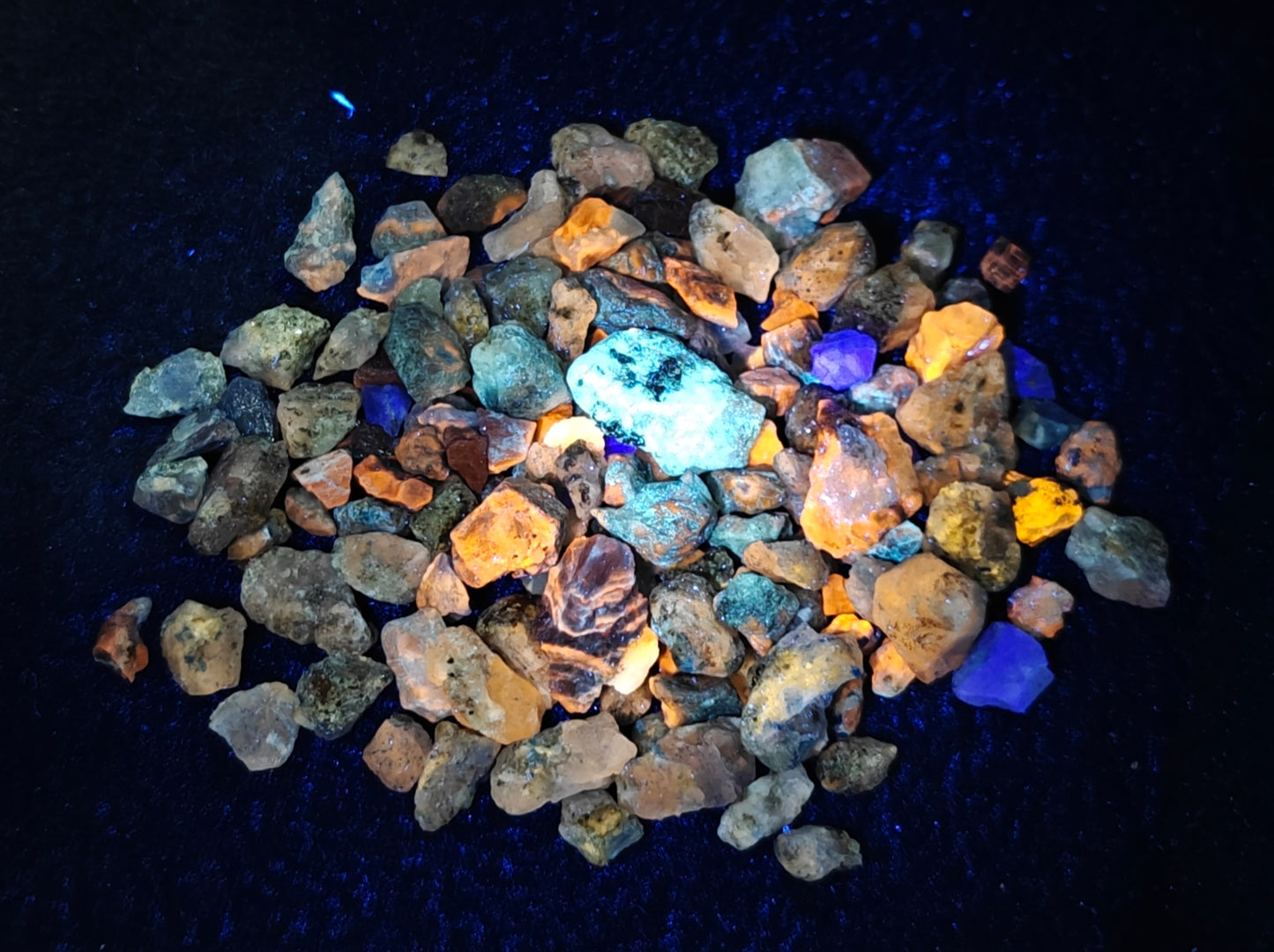 Fluorescent sodalite/Afghanite collection 110 grams