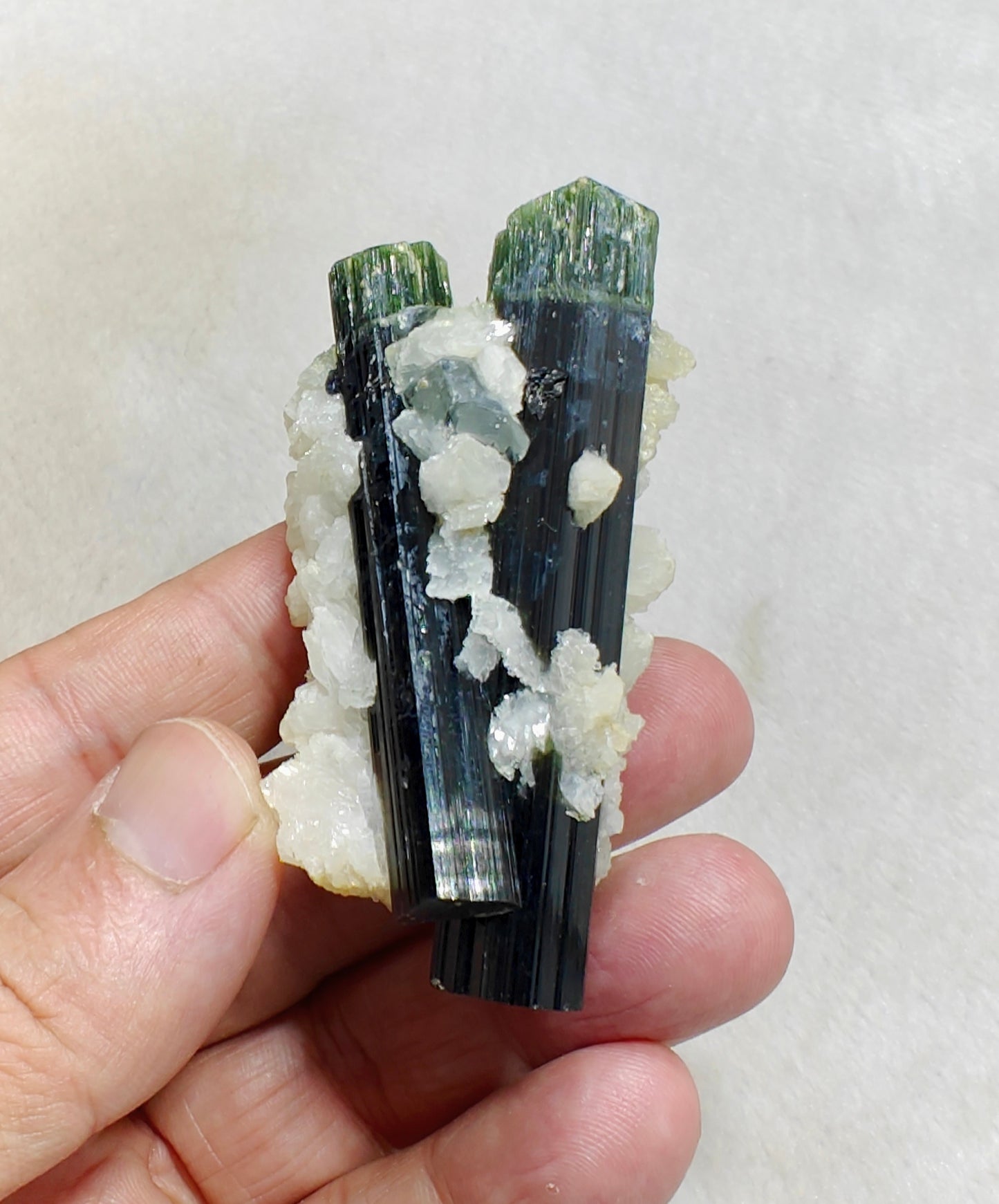Perfectly terminated specimen of green cap Tourmalines crystals with associated albite 94 grams