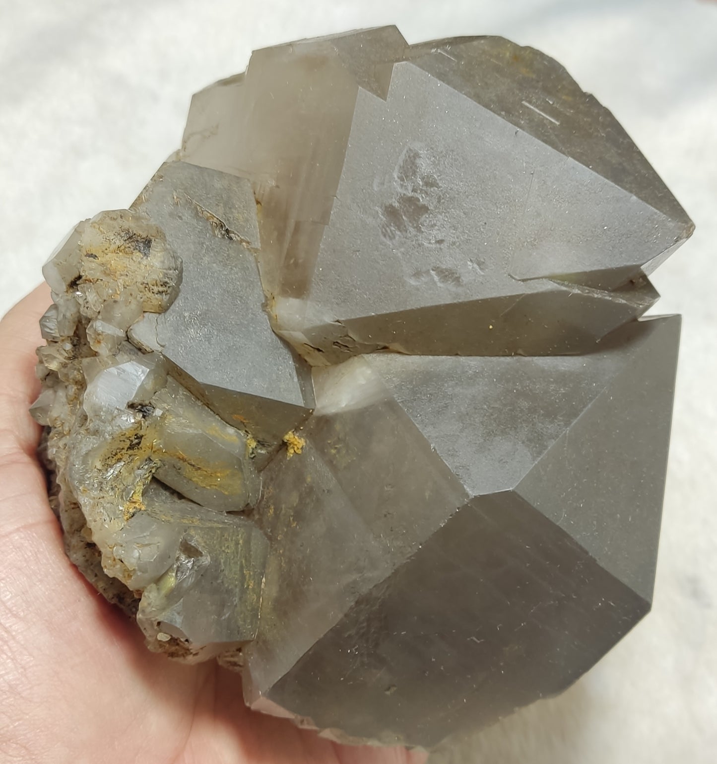 Natural Smoky Quartz Twin formations Cabinet Size  1170 grams