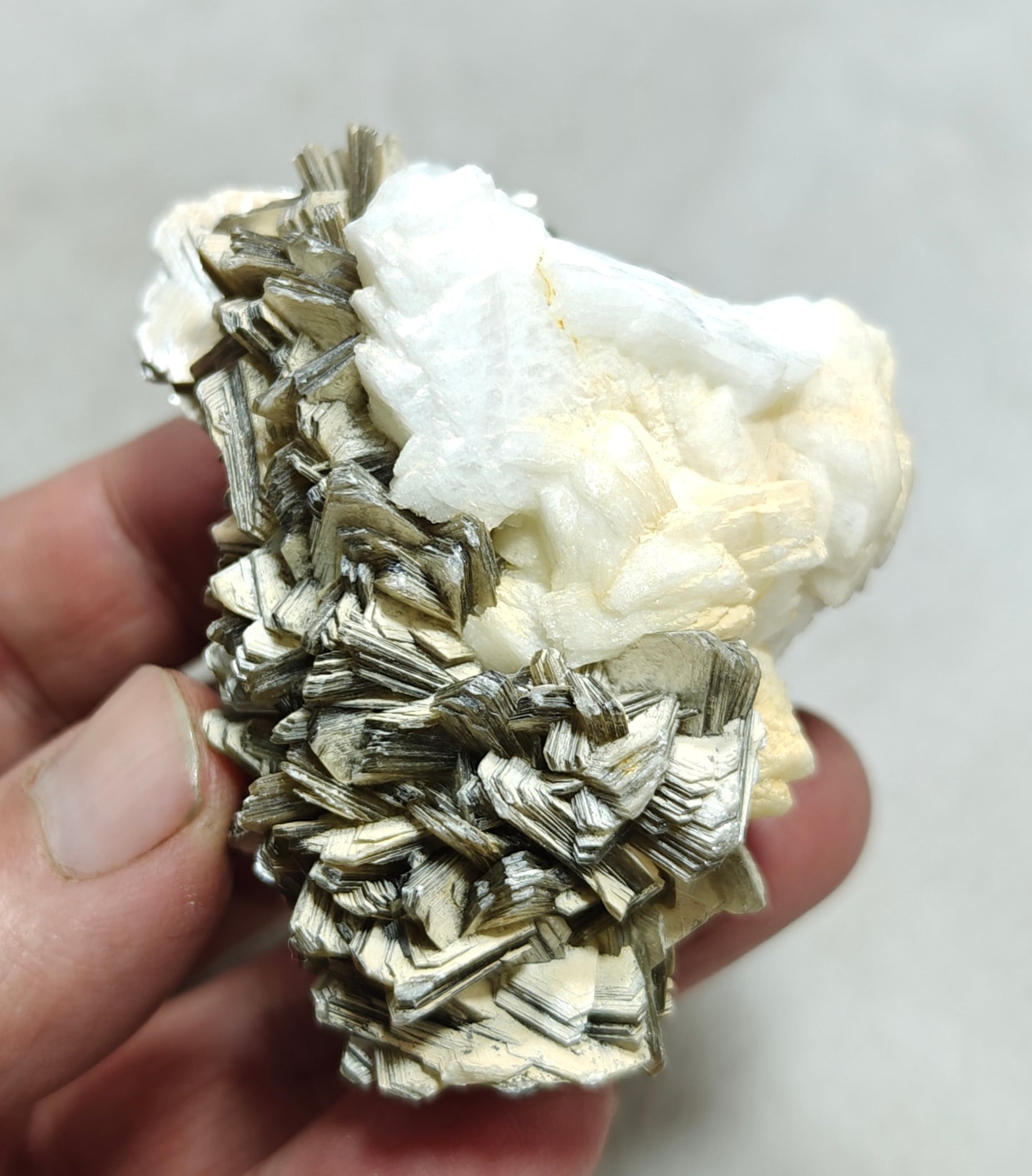 Natural specimen of combination of Albite, Schorl, and Muscovite 137 grams