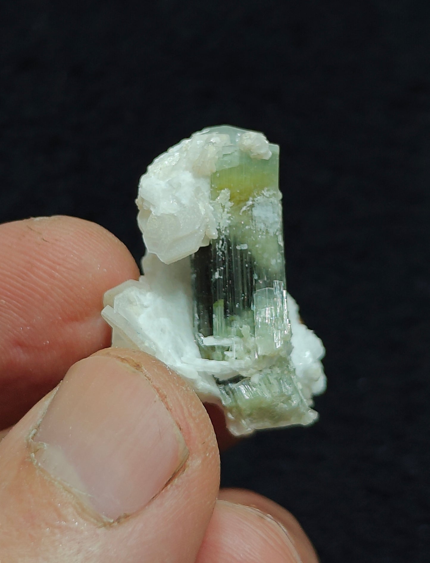 Natural dark green Tourmaline crystal and associated cleavlandite 10 grams