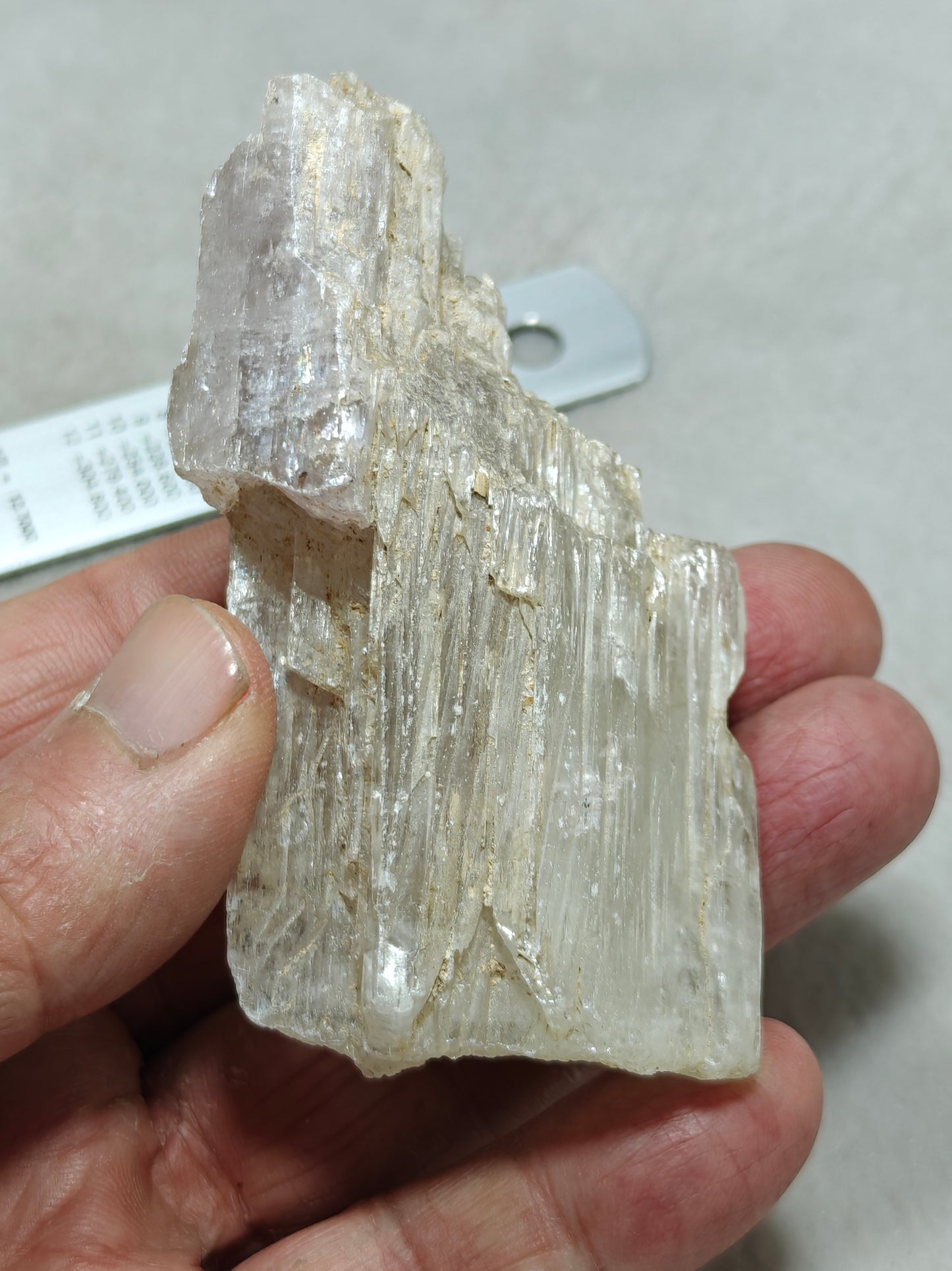 An amazing specimen of Bicolor terminated spodumene crystal 157 grams