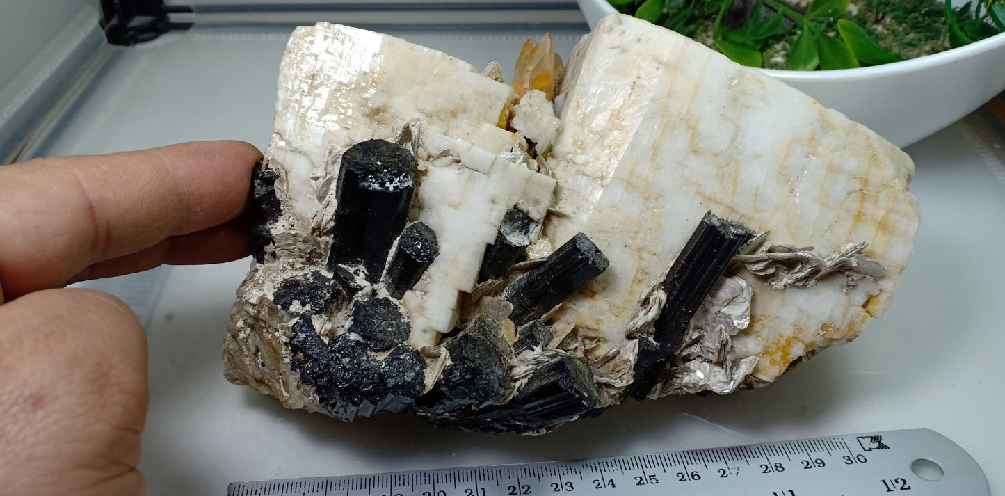Beautiful Black Tourmaline Specimen with Albite and Quartz Crystals 1450 grams