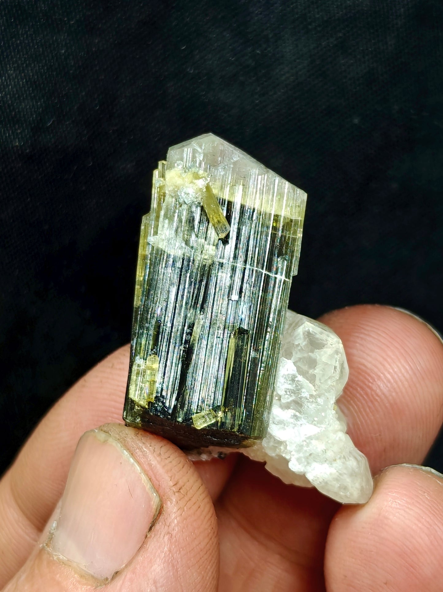 Natural dark green Tourmaline crystal with white head and associated quartz 14 grams