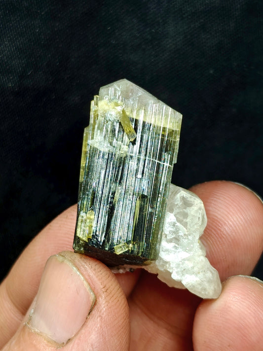Natural dark green Tourmaline crystal with white head and associated quartz 14 grams