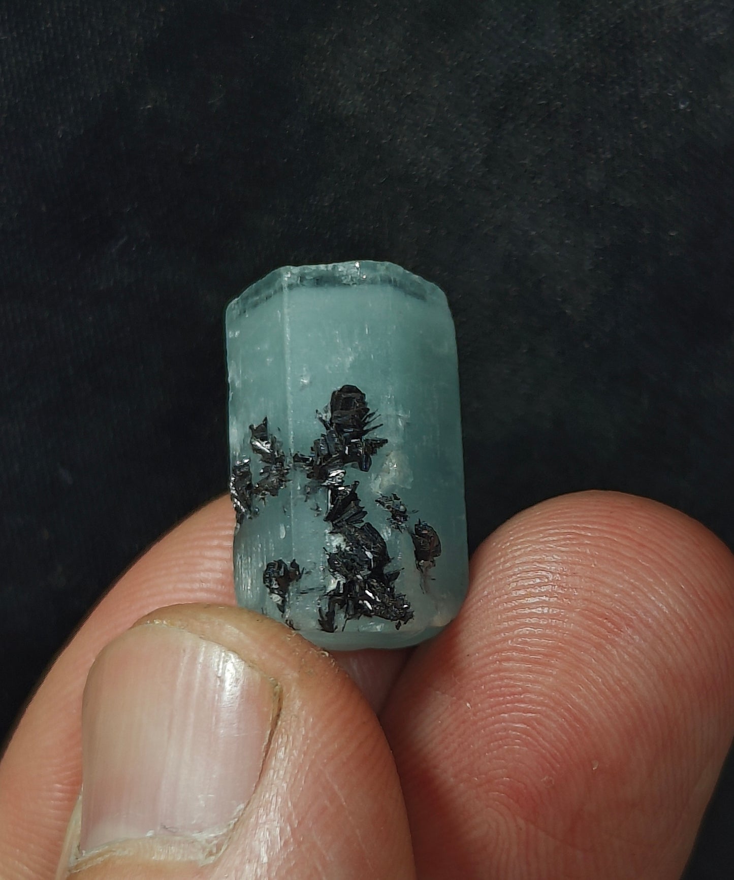 Aquamarine Crystal with tantalite 27 carats