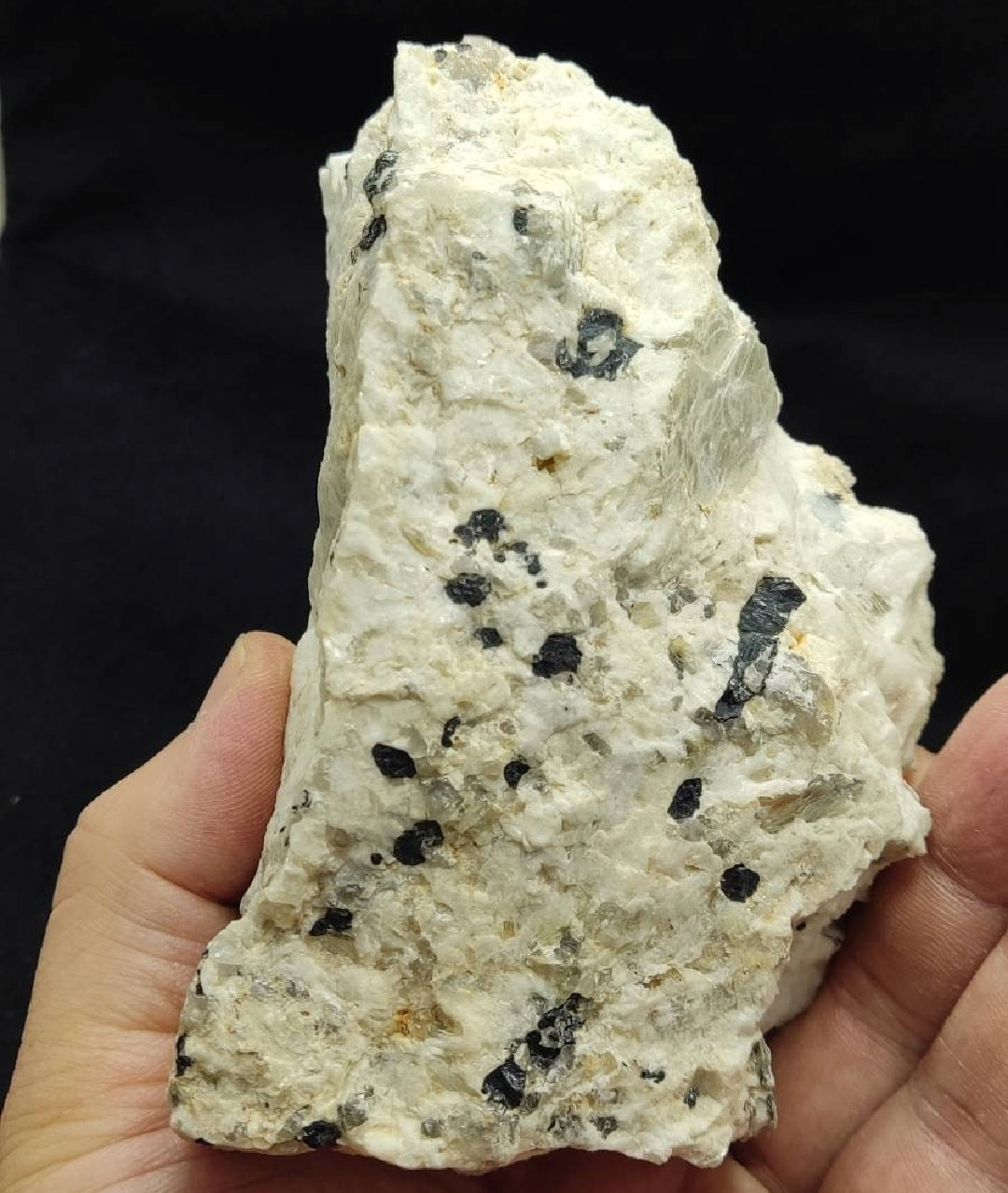 Aesthetic specimen of Aquamarine Crystals with associated tantalite on matrix of Albite, mica and some Schorl 1026 grams