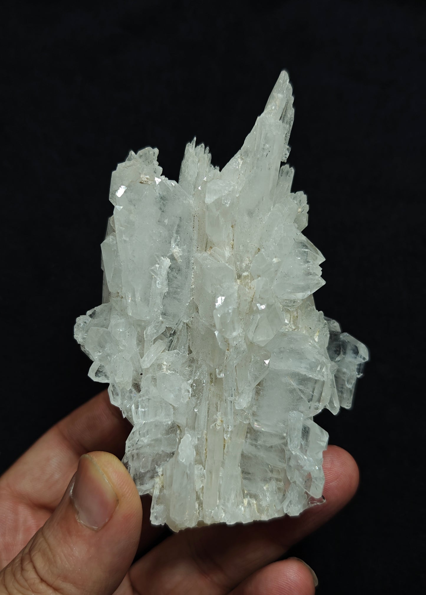 Single beautiful terminated Faden Quartz cluster 213 grams