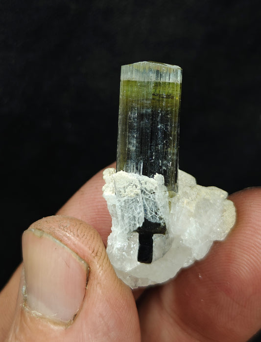 Natural multicolor Tourmaline crystal and associated cleavlandite and a bit of quartz 8 grams