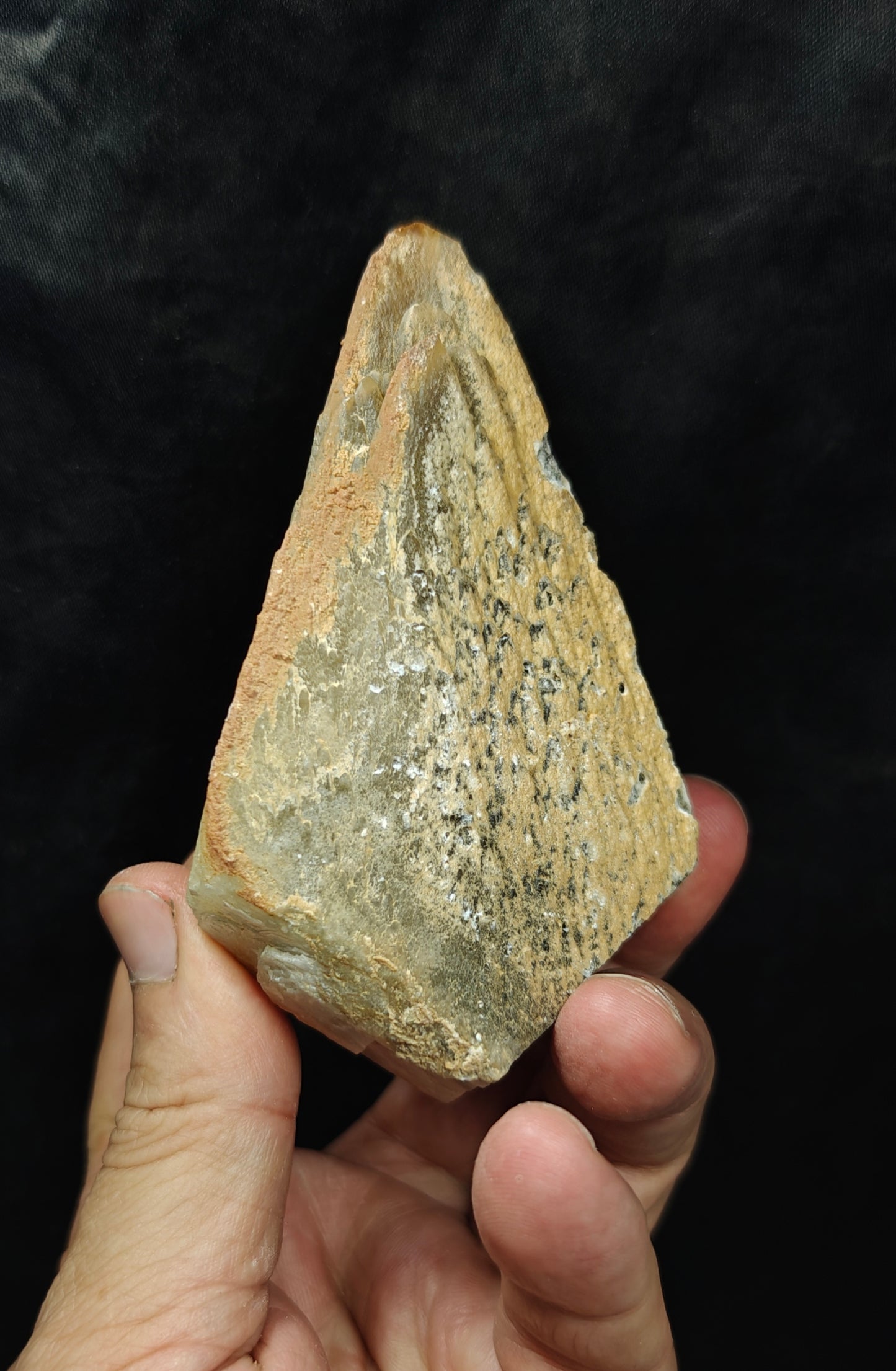 Naturally terminated Dogteeth Calcite Crystal 274 grams