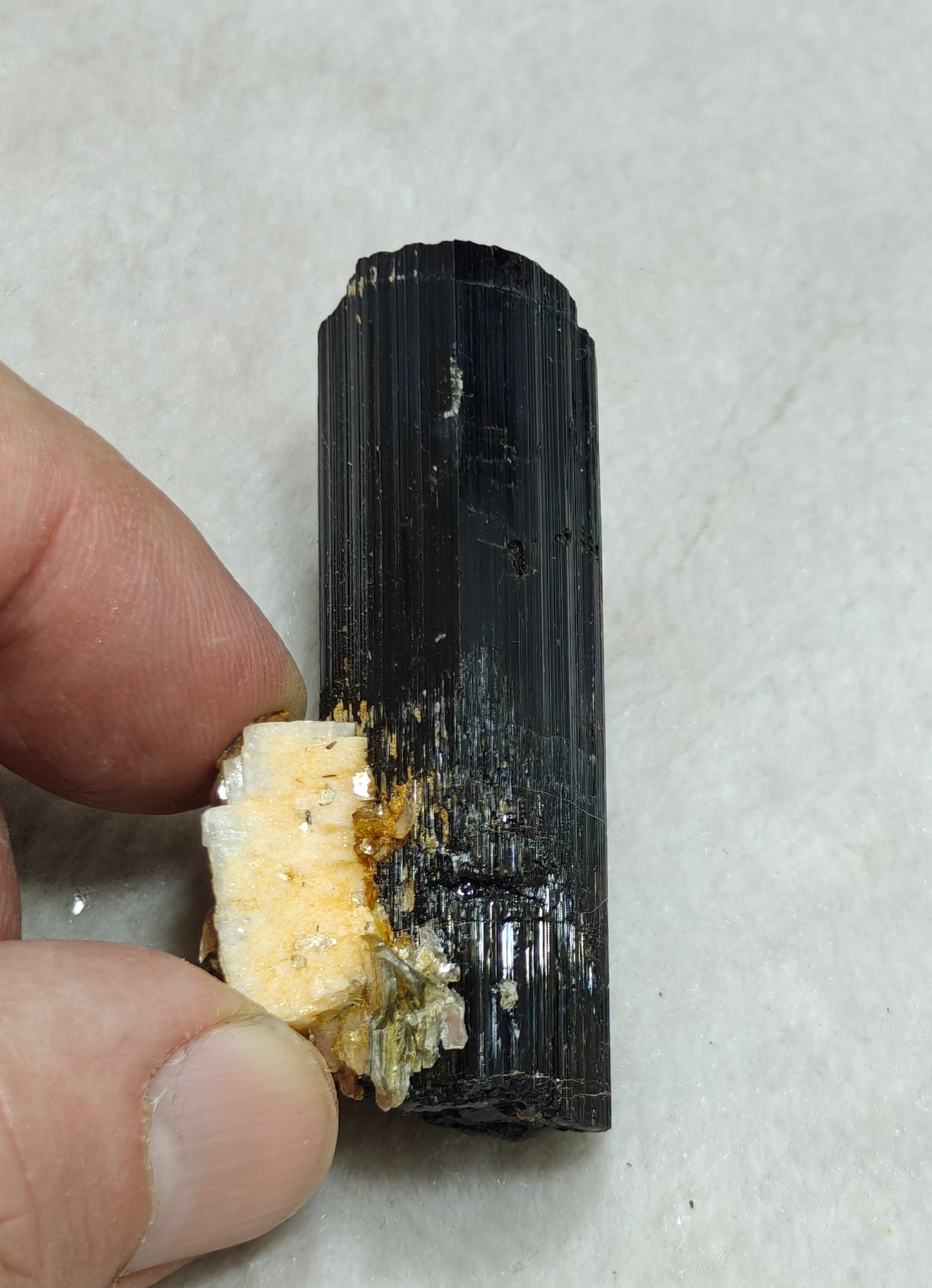 Natural Tourmaline crystal with Albite and Muscovite 38 grams
