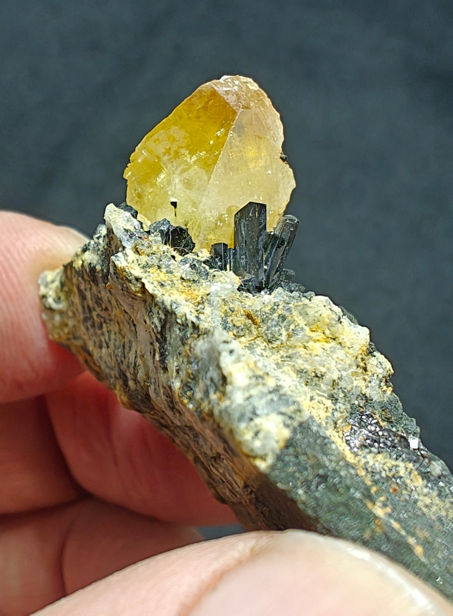 Titanite sphene with actinolite or aegirine on matrix 21g