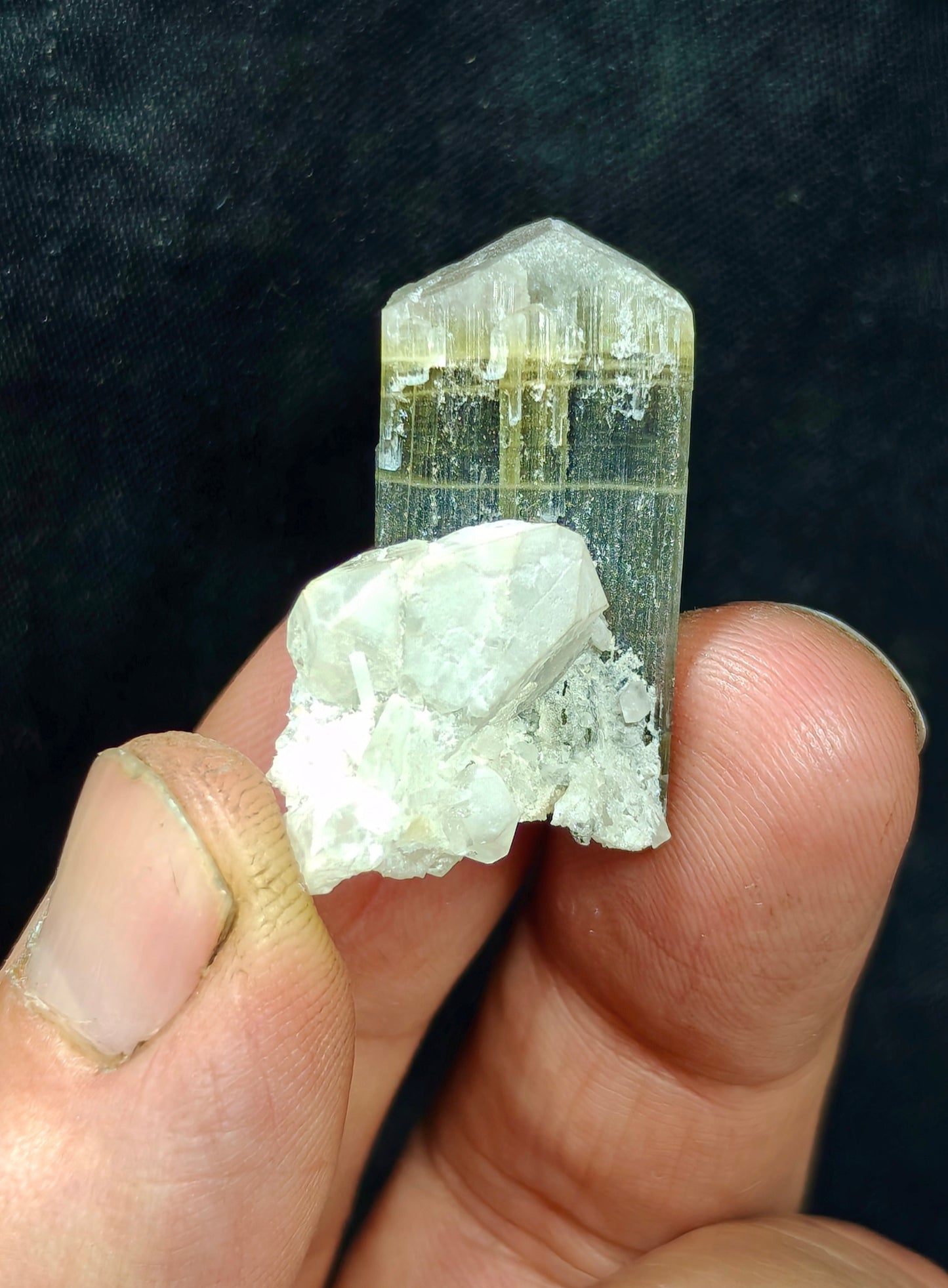 Natural dark green Tourmaline crystal with white head and associated quartz 14 grams
