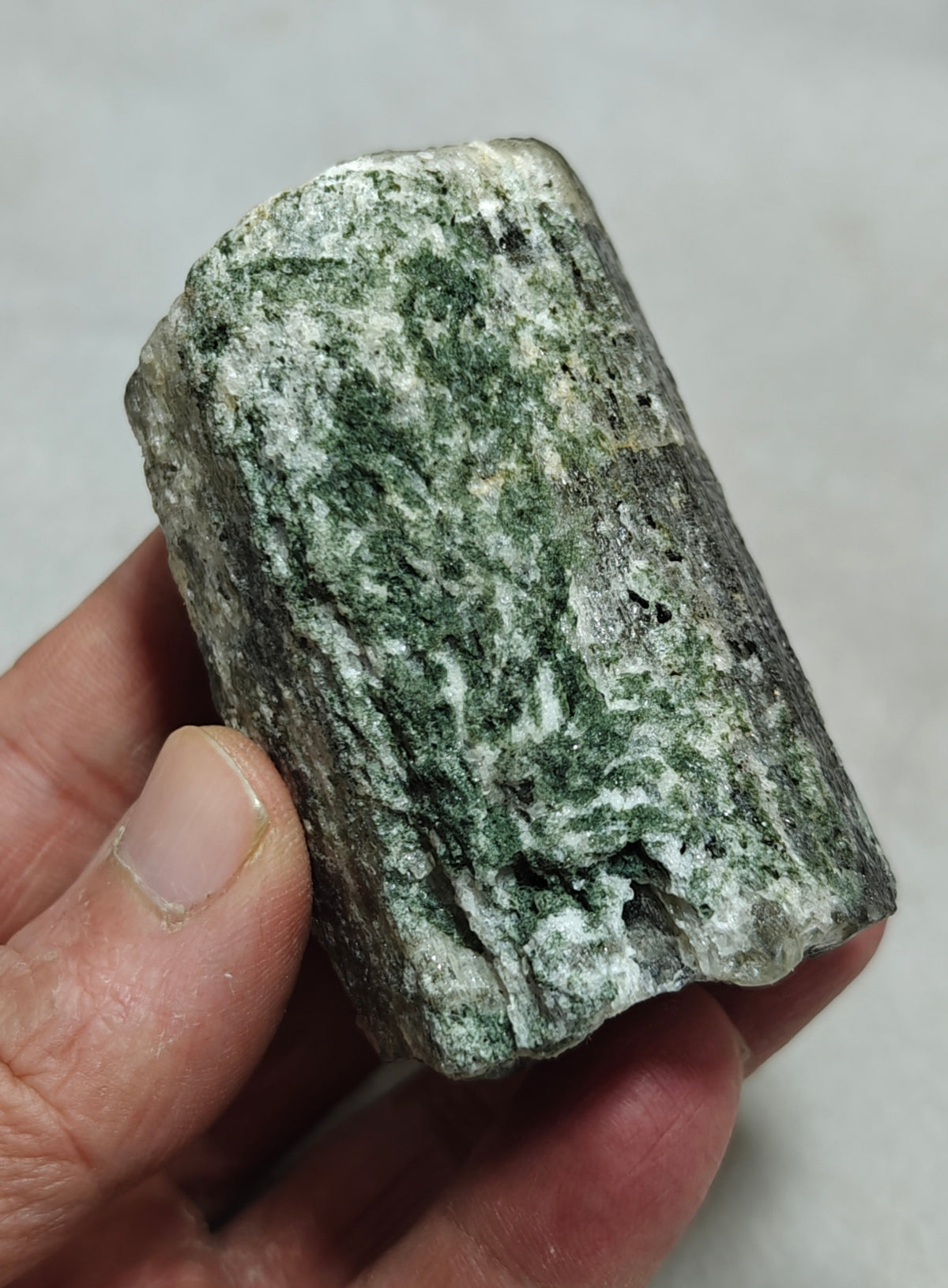 Scapolite crystal with associated epidote 253 grams