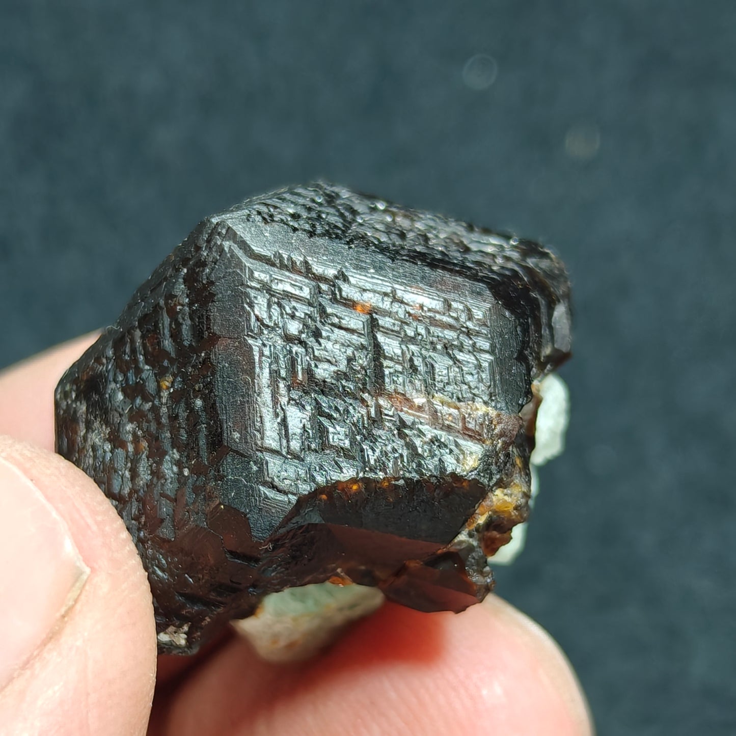 Natural andradite crystal 28 grams