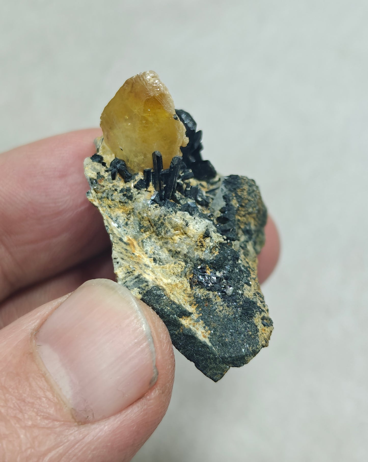 Titanite sphene with actinolite or aegirine on matrix 21g